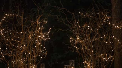fairy lights in trees