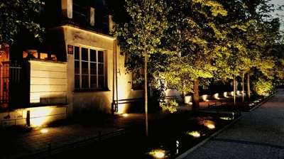 house illuminated by uplight