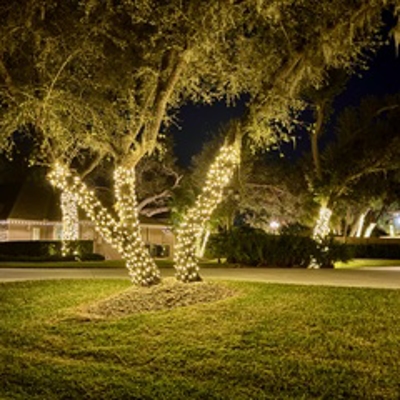 Holiday Lighting