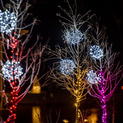 Holiday Lighting 4