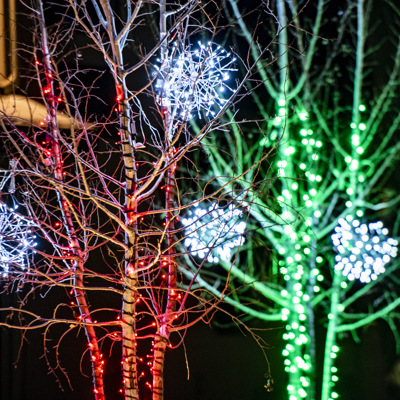 Holiday Lighting 5