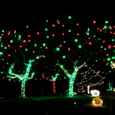 Holiday Lighting