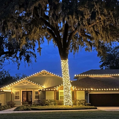 Holiday Lighting