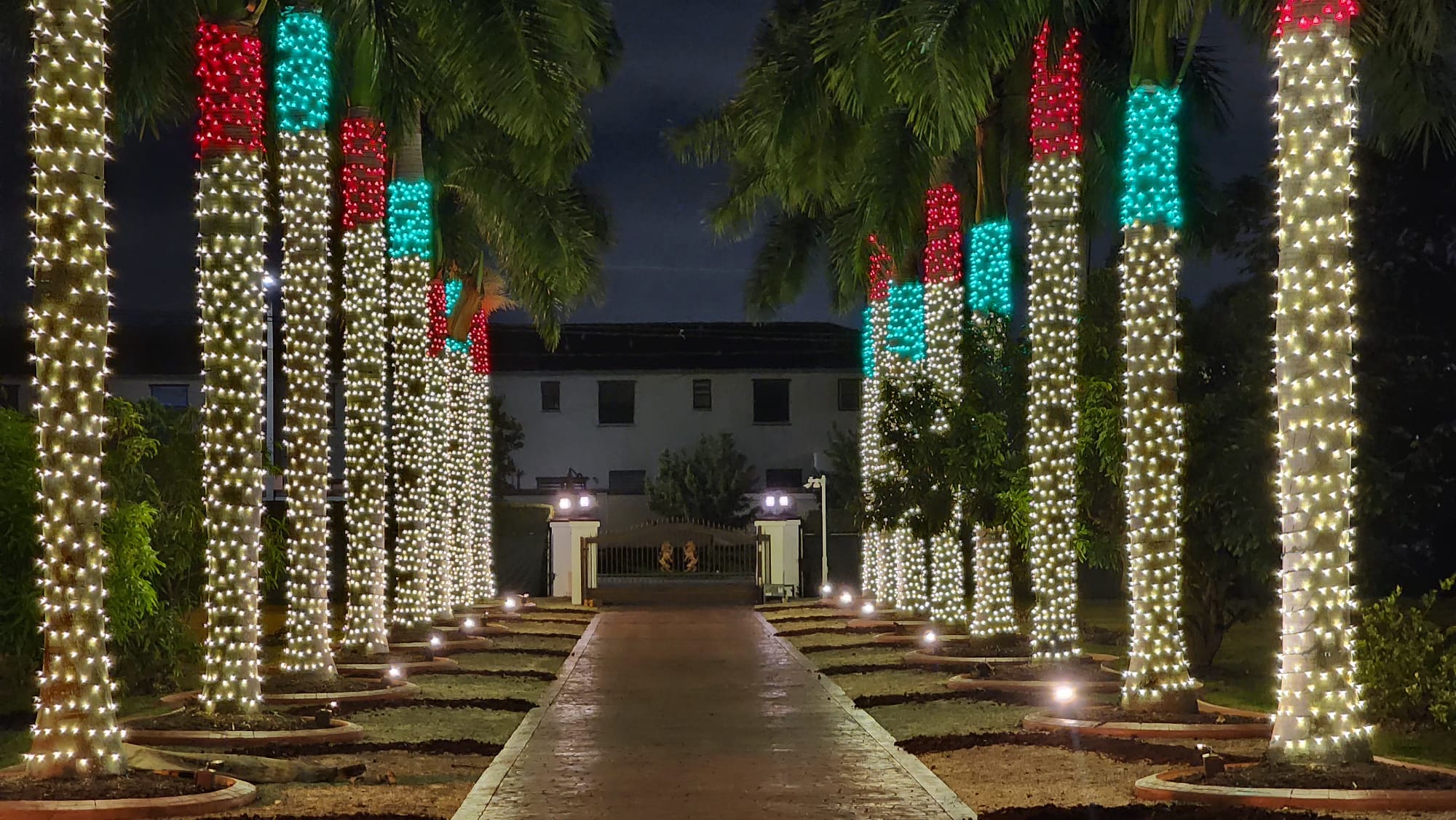 A brightly lit driveway lined by palm trees