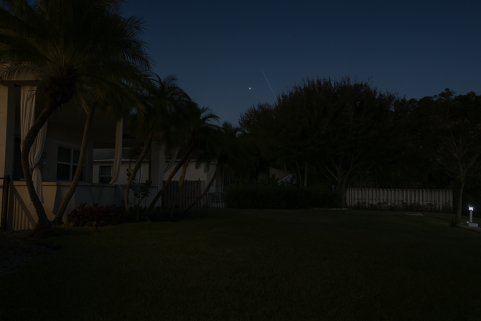 A dark backyard with Palm Trees