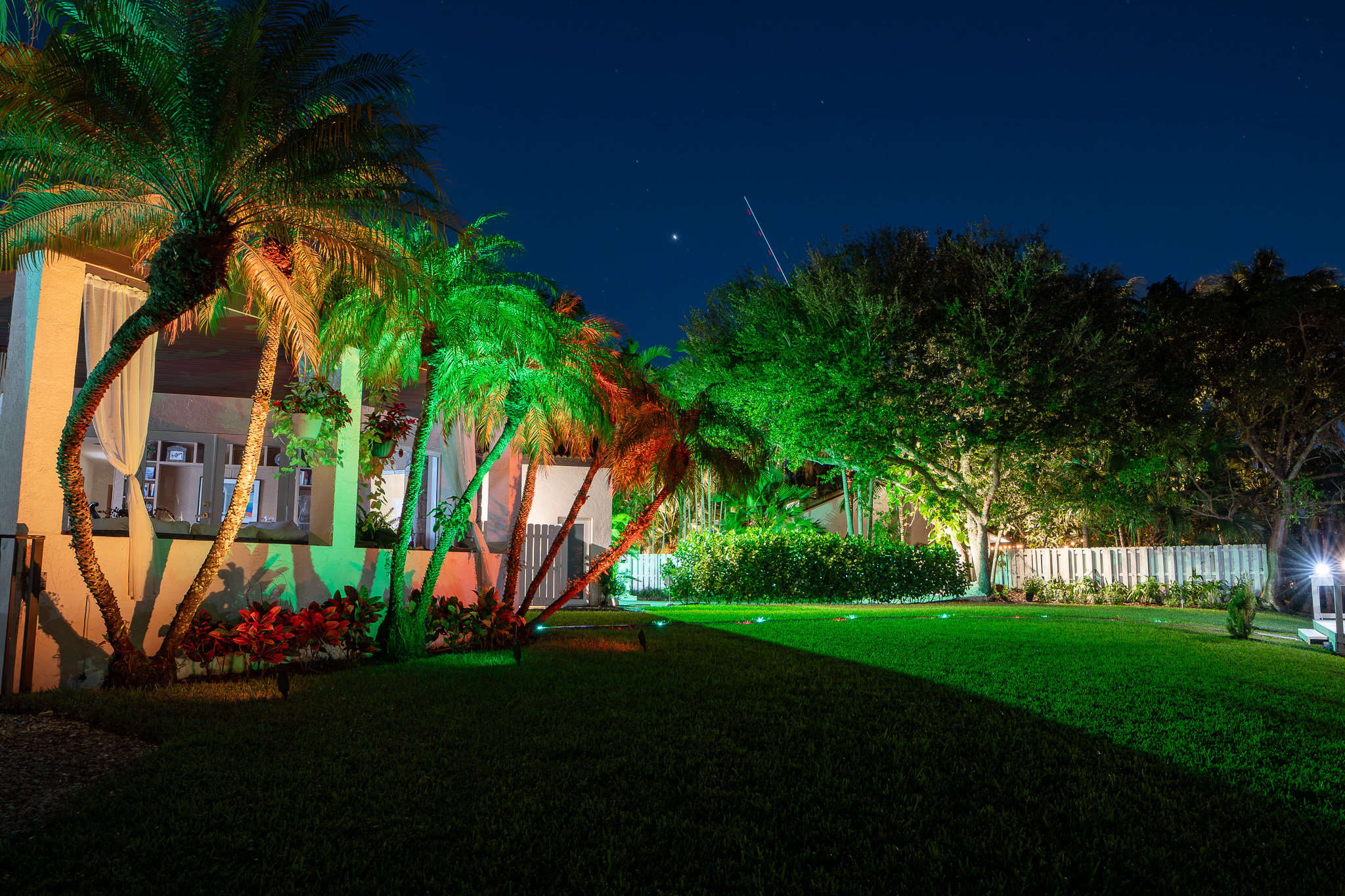 Green and orange lit palm trees in a backyard