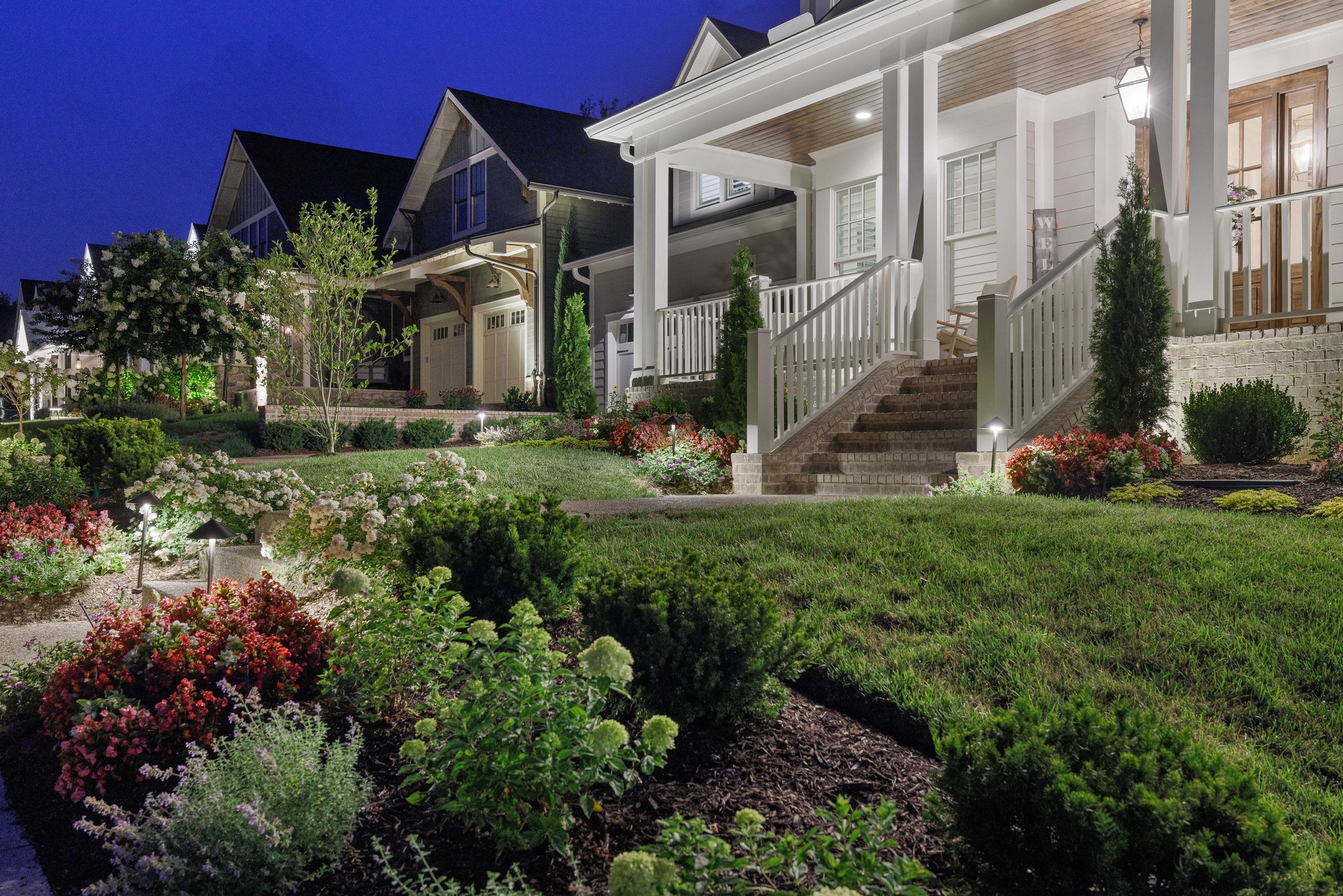 Belladonna Portfolio