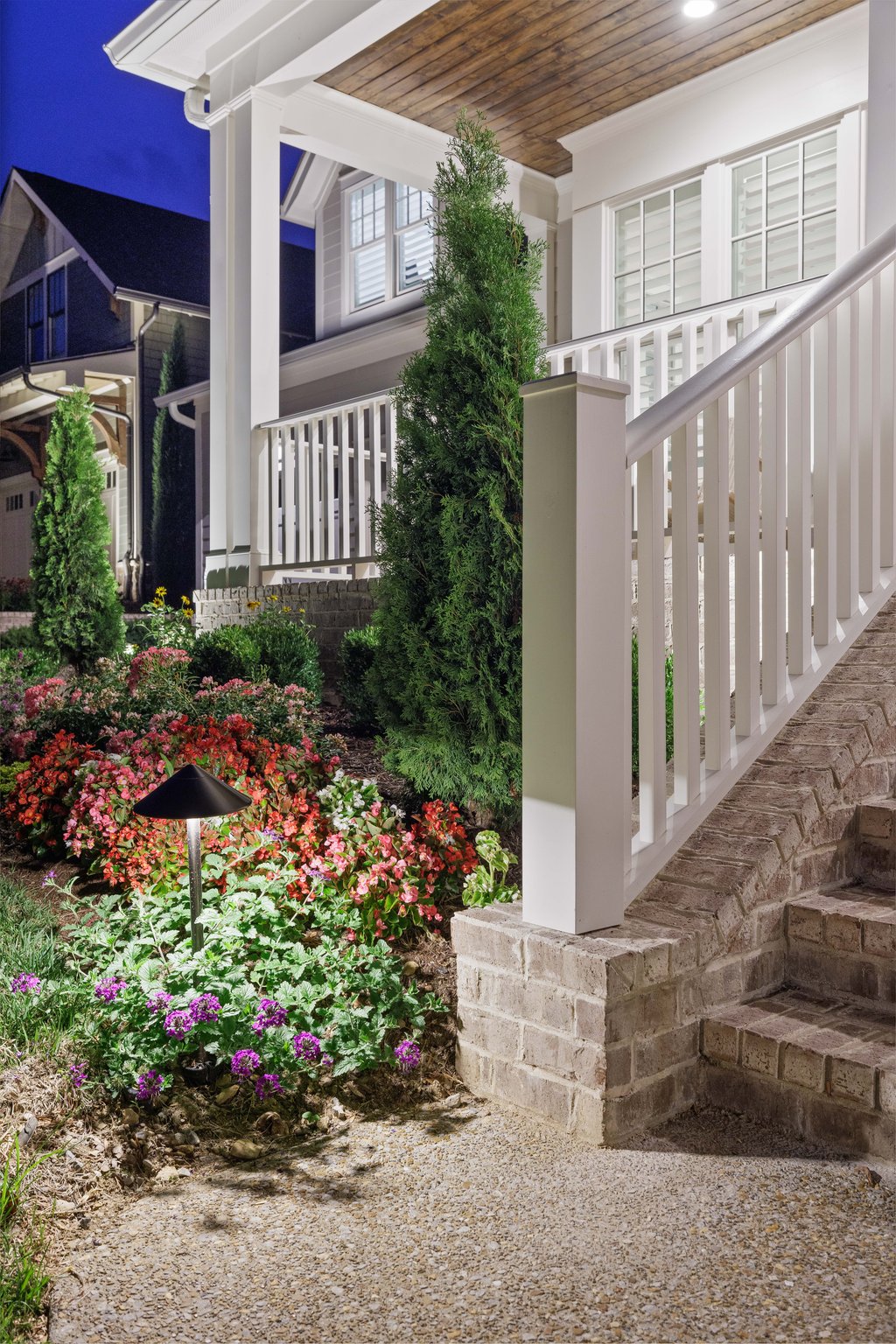 Belladonna Portfolio