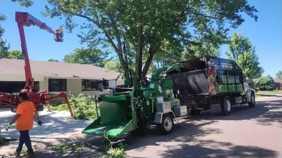 Our Family Tree Service Tree Cutting Services