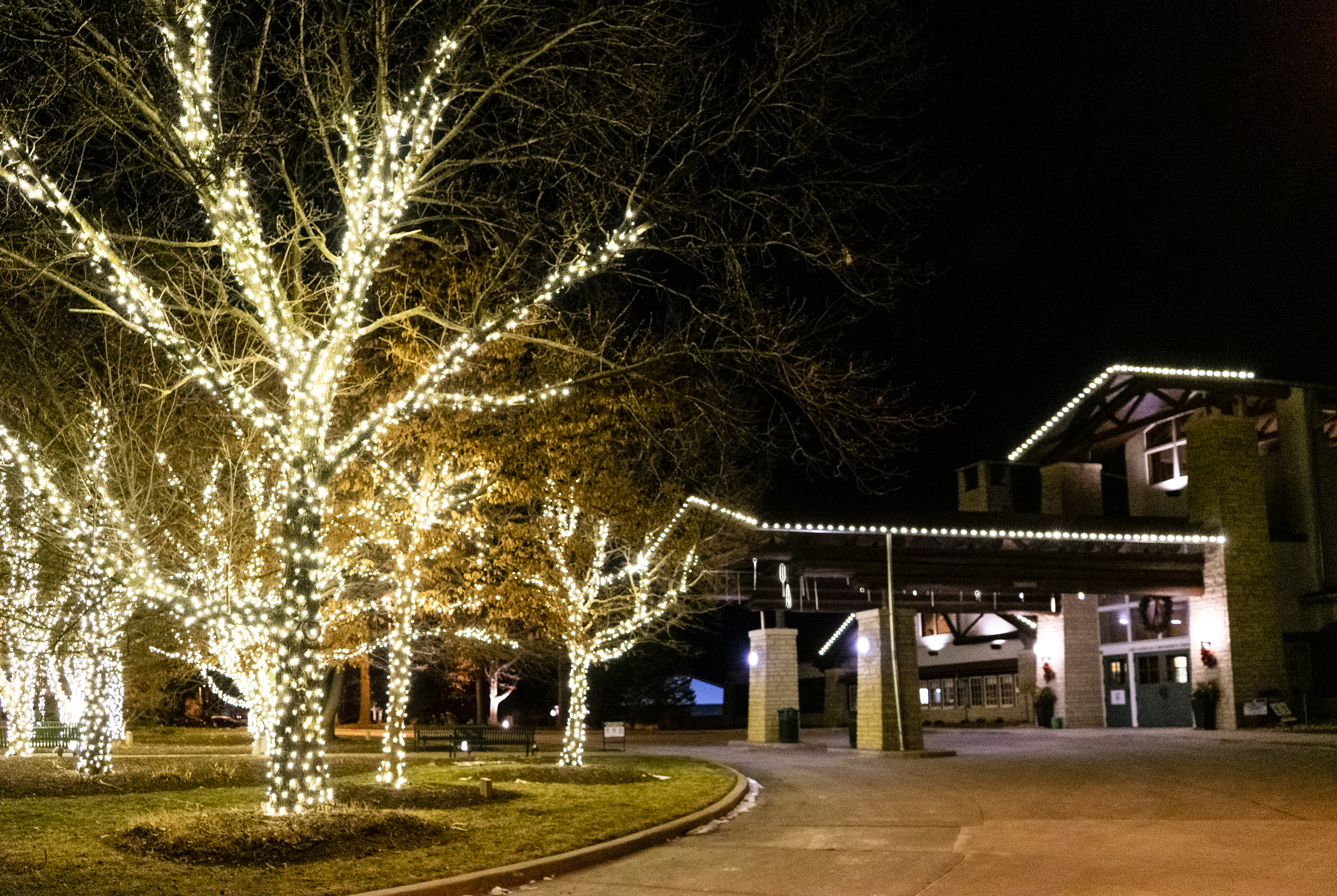 Residential House with Holiday Lighting on roof and trees.