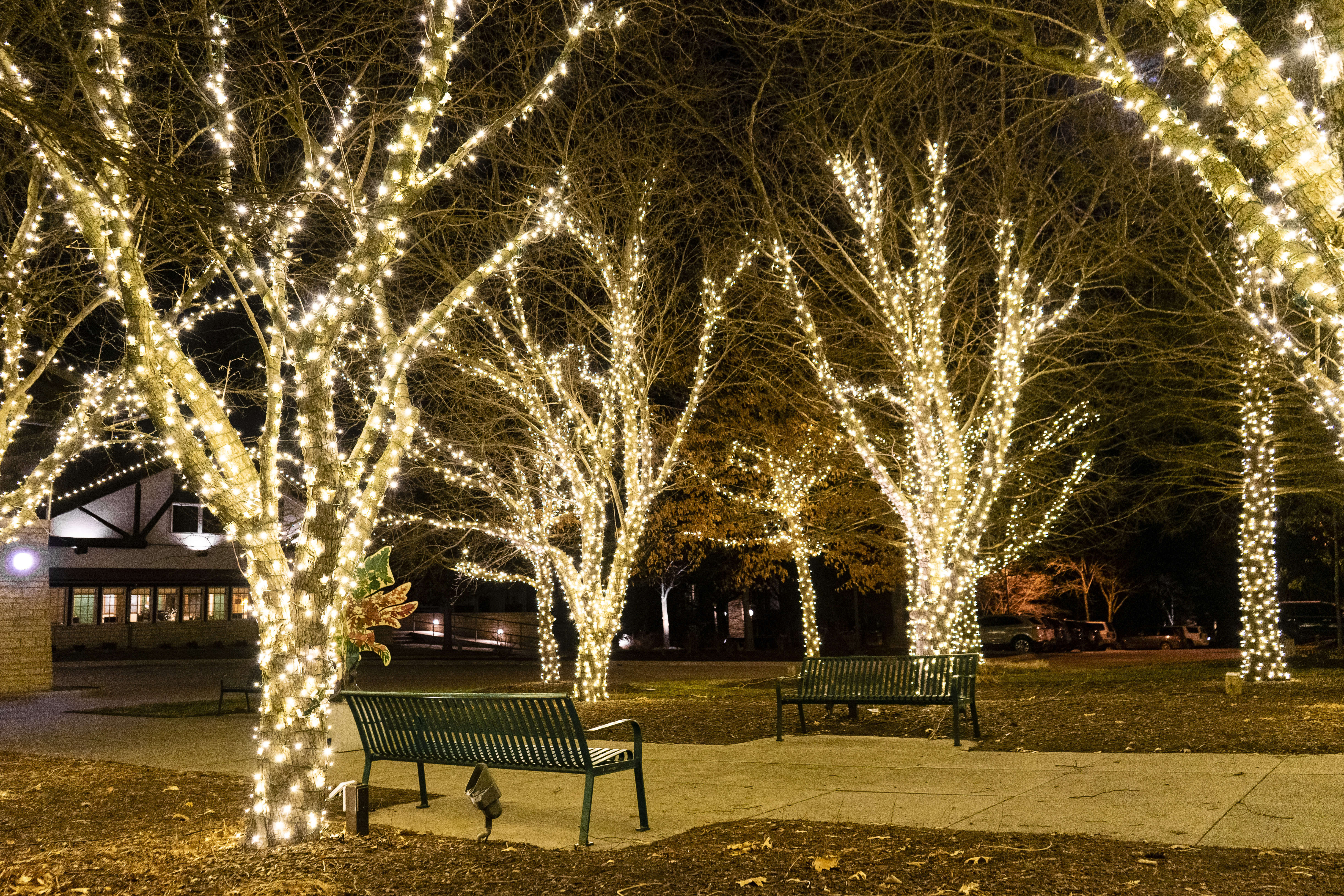 Commercial Holiday Lighting 4