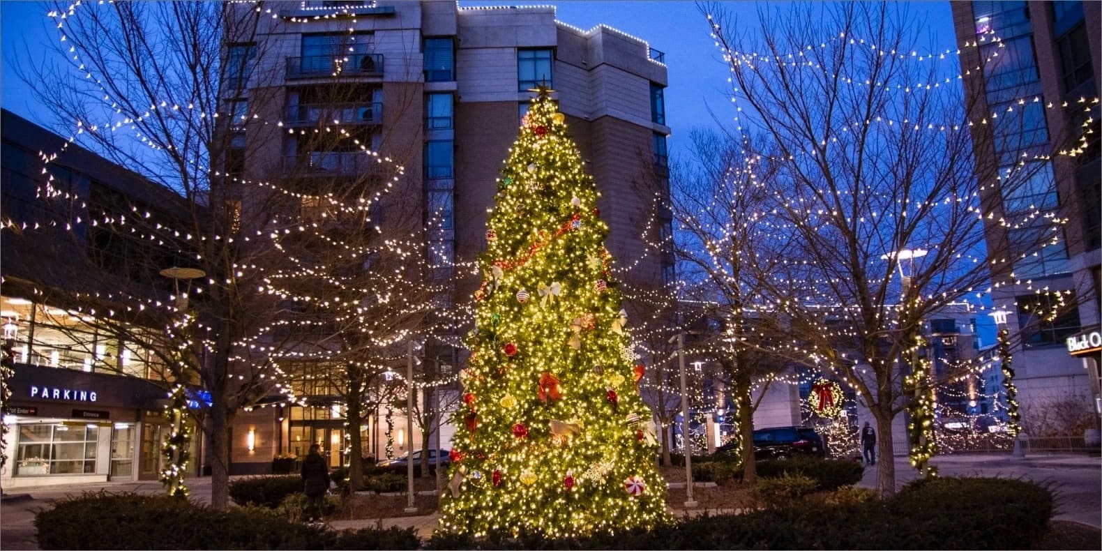 lit Christmas tree in plaza