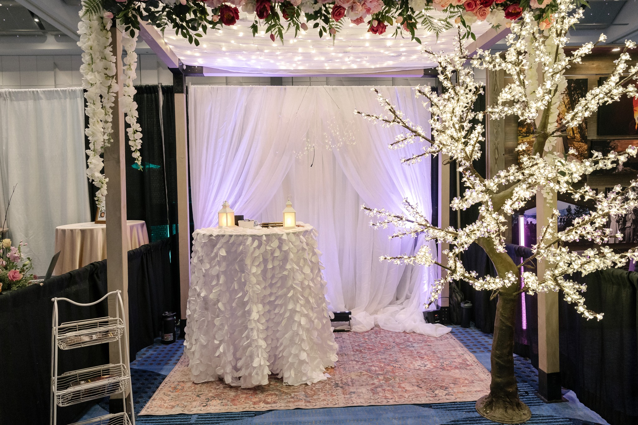 Champagne White Cherry Tree - Rock Mountain Bridal Show