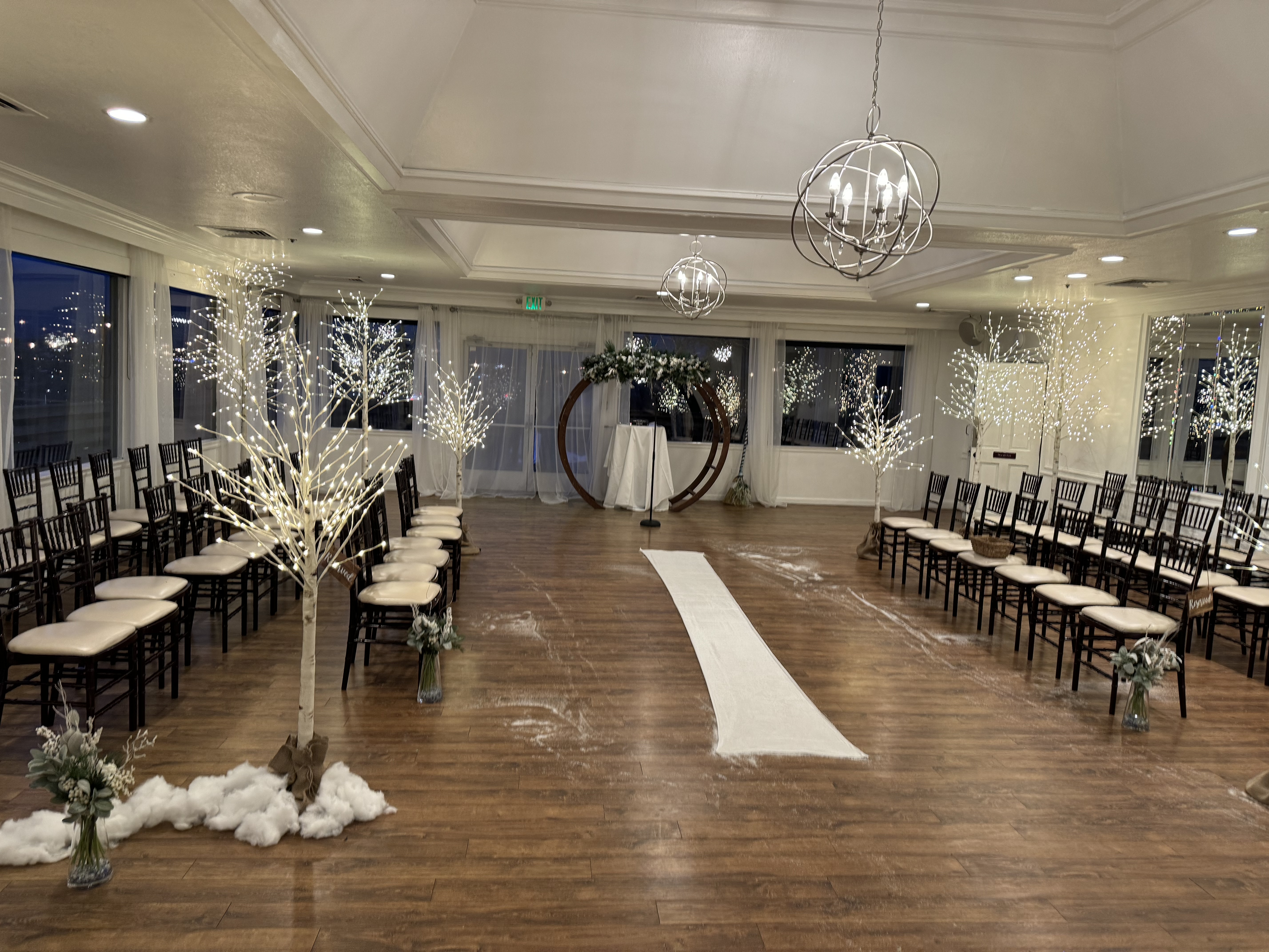 Light up Birch Trees