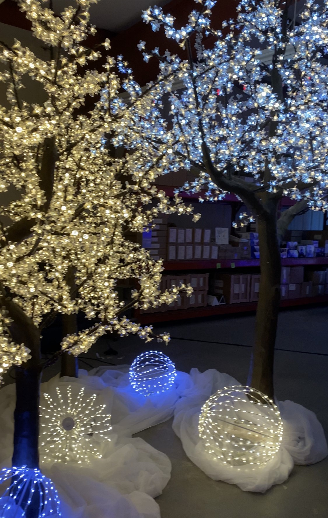 Cherry Blossom Trees with Wired Spheres