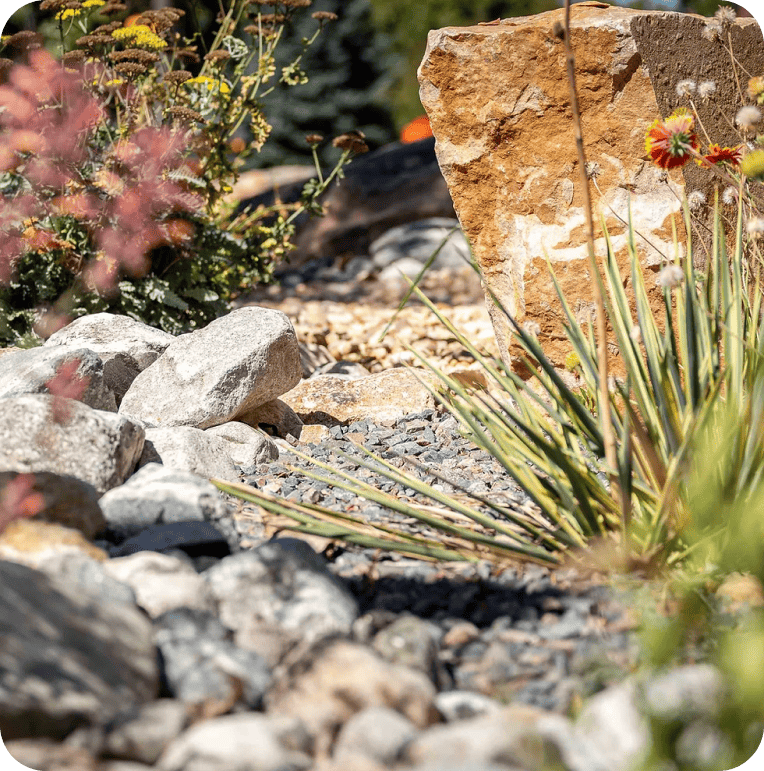 Grey Rock Landscape and Construction - Xeric Escape Project