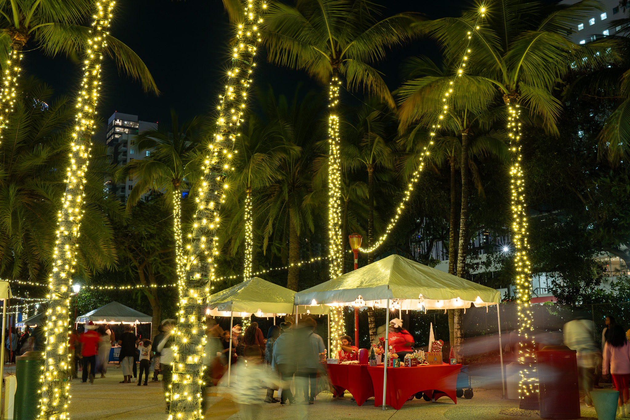 palm trees wrapped in string lights in a market