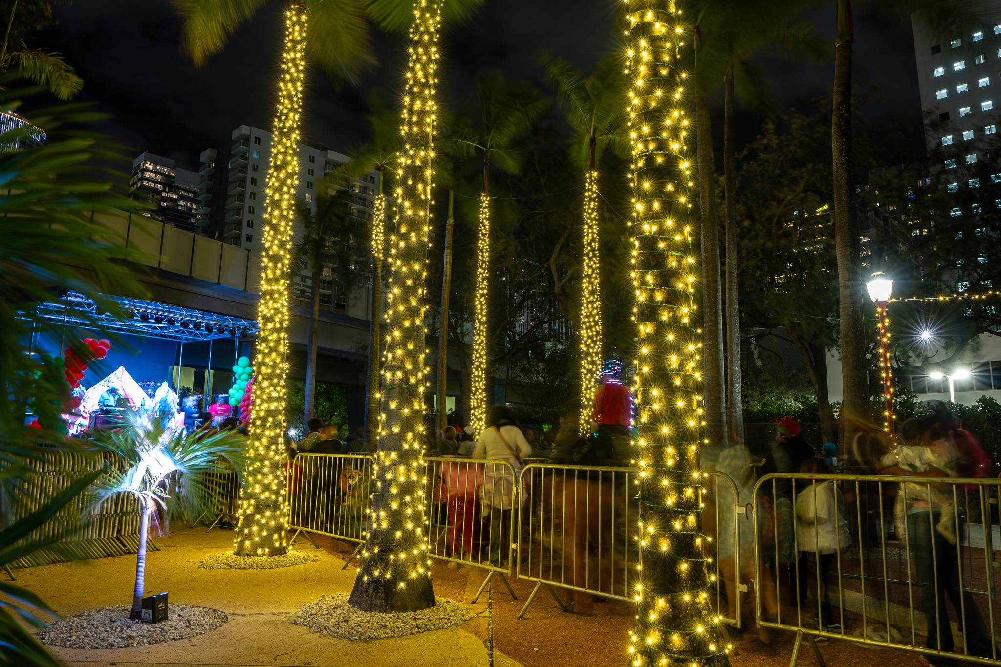palm trees wrapped in string lights