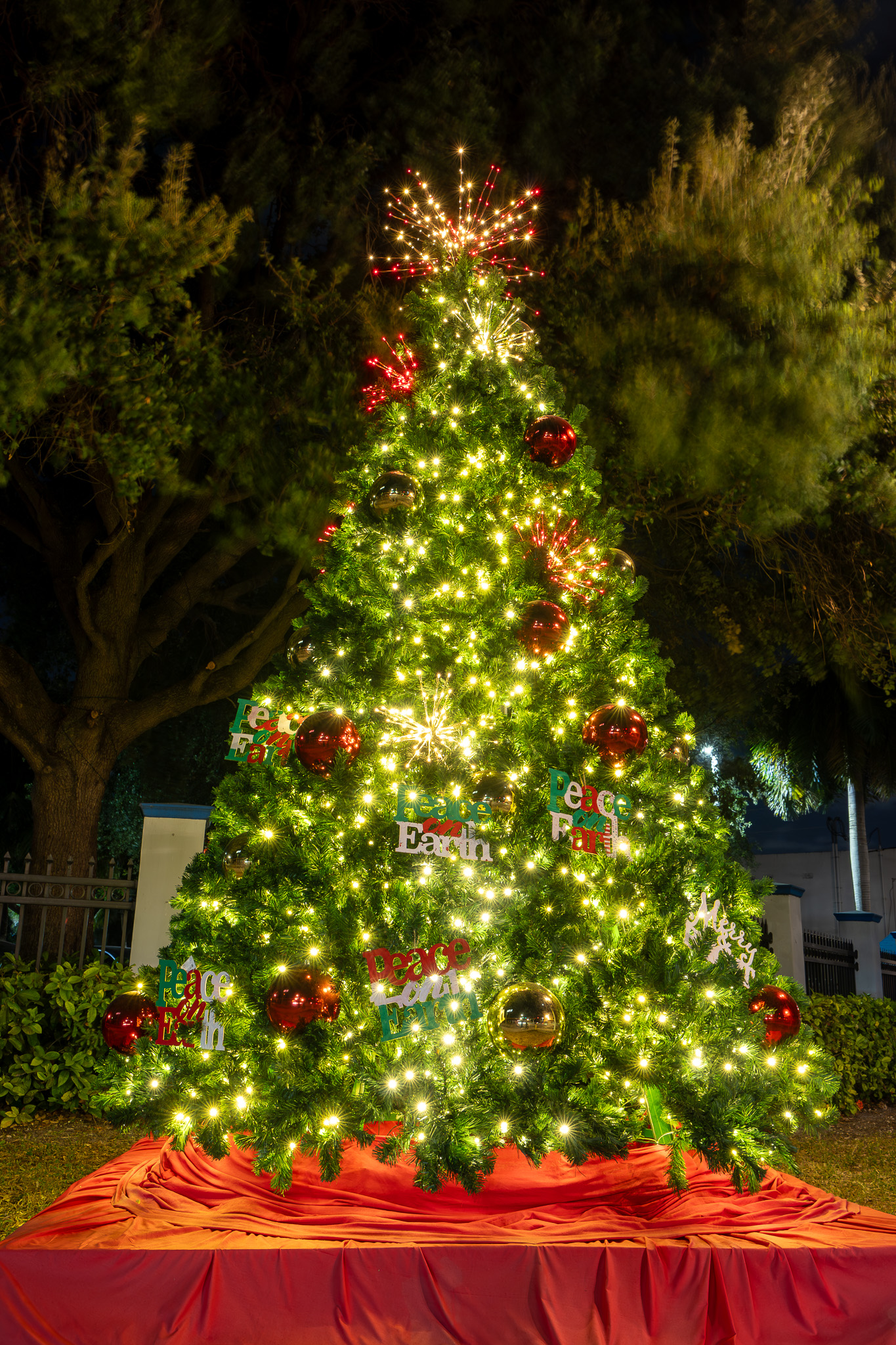 a small Christmas tree wrapped in lights