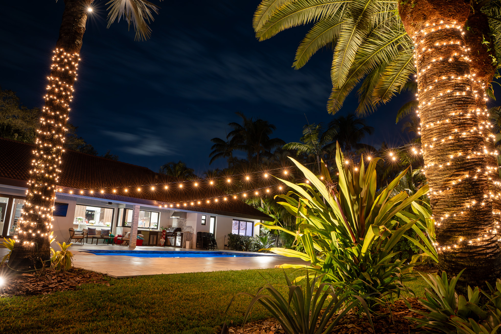 string lights over a pool with string wrapped palm trees