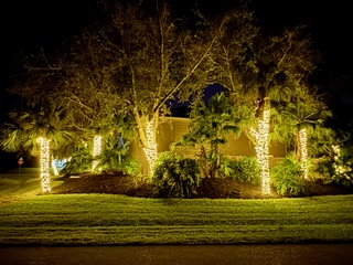 Holiday Lighting