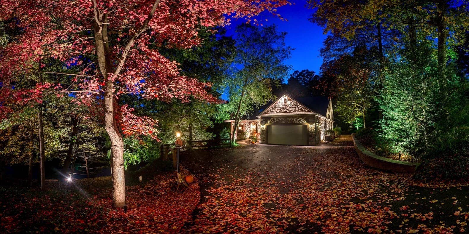 lighting in home landscape