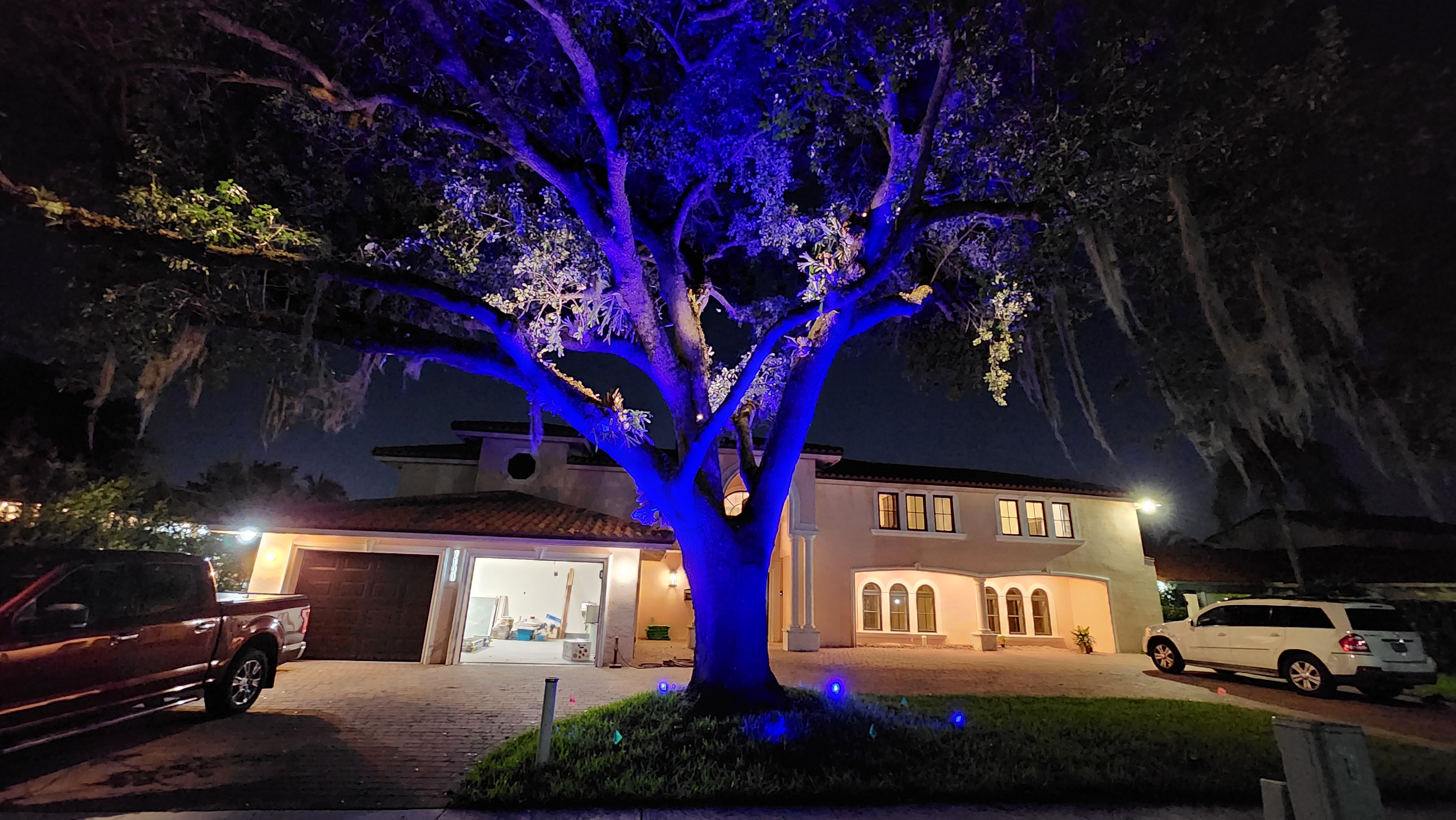 Blue lit tree