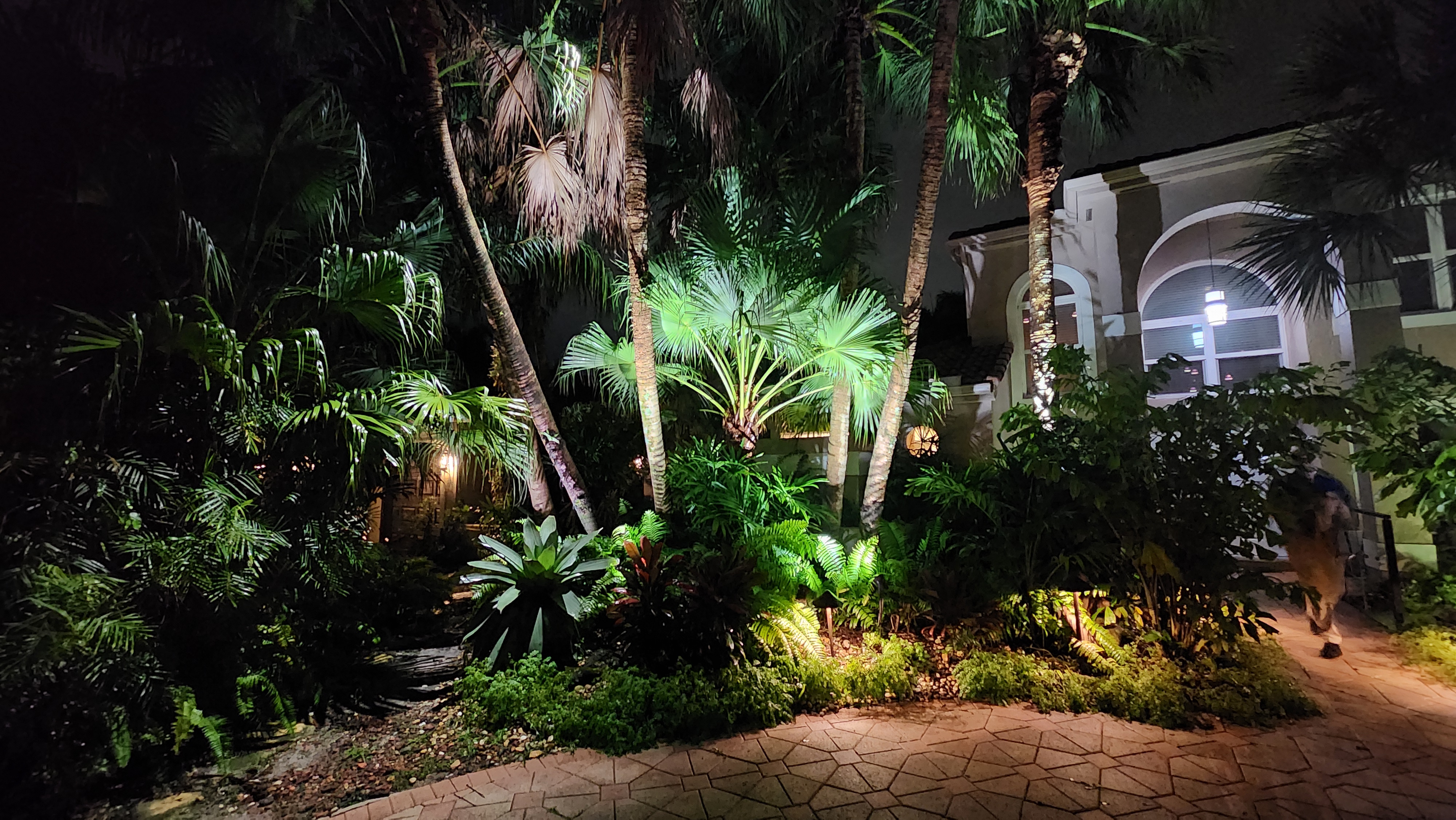 Landscape lighting in brush