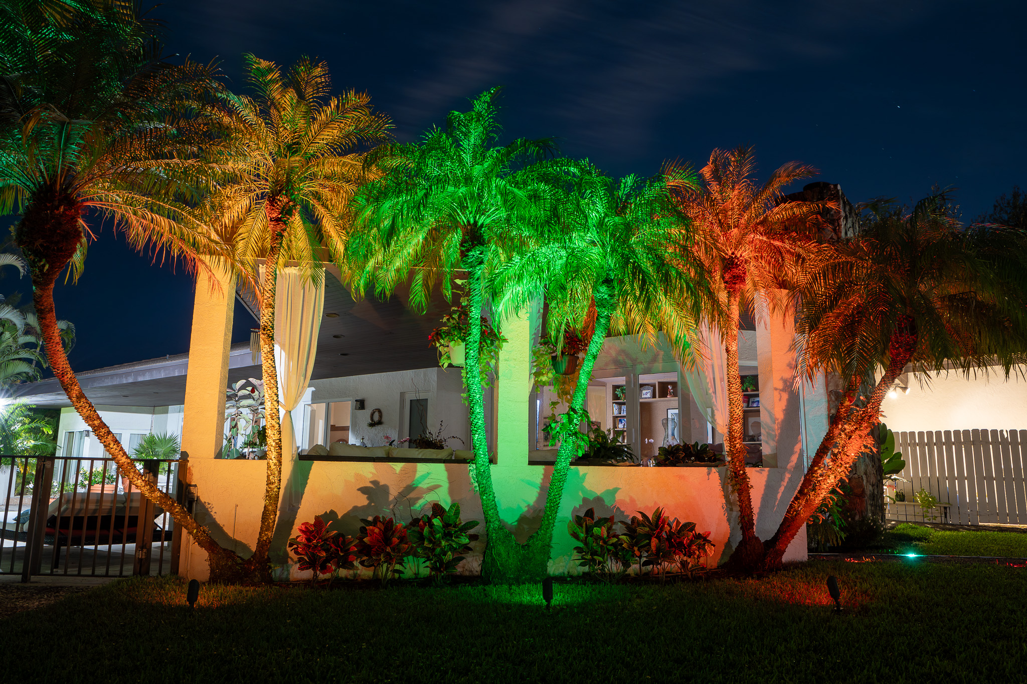 Multi-Color lit palm trees