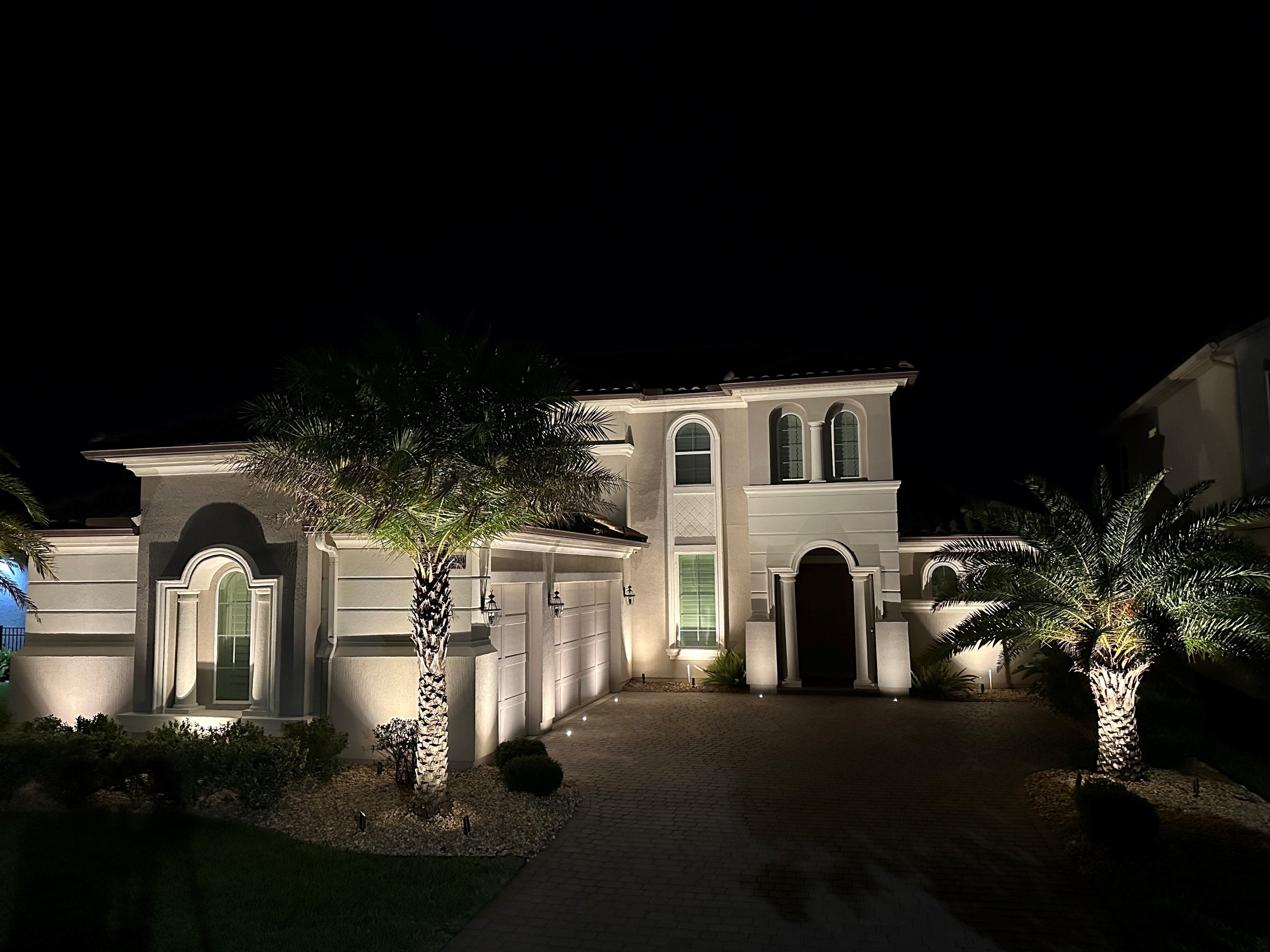 home with palm trees and outdoor lighting