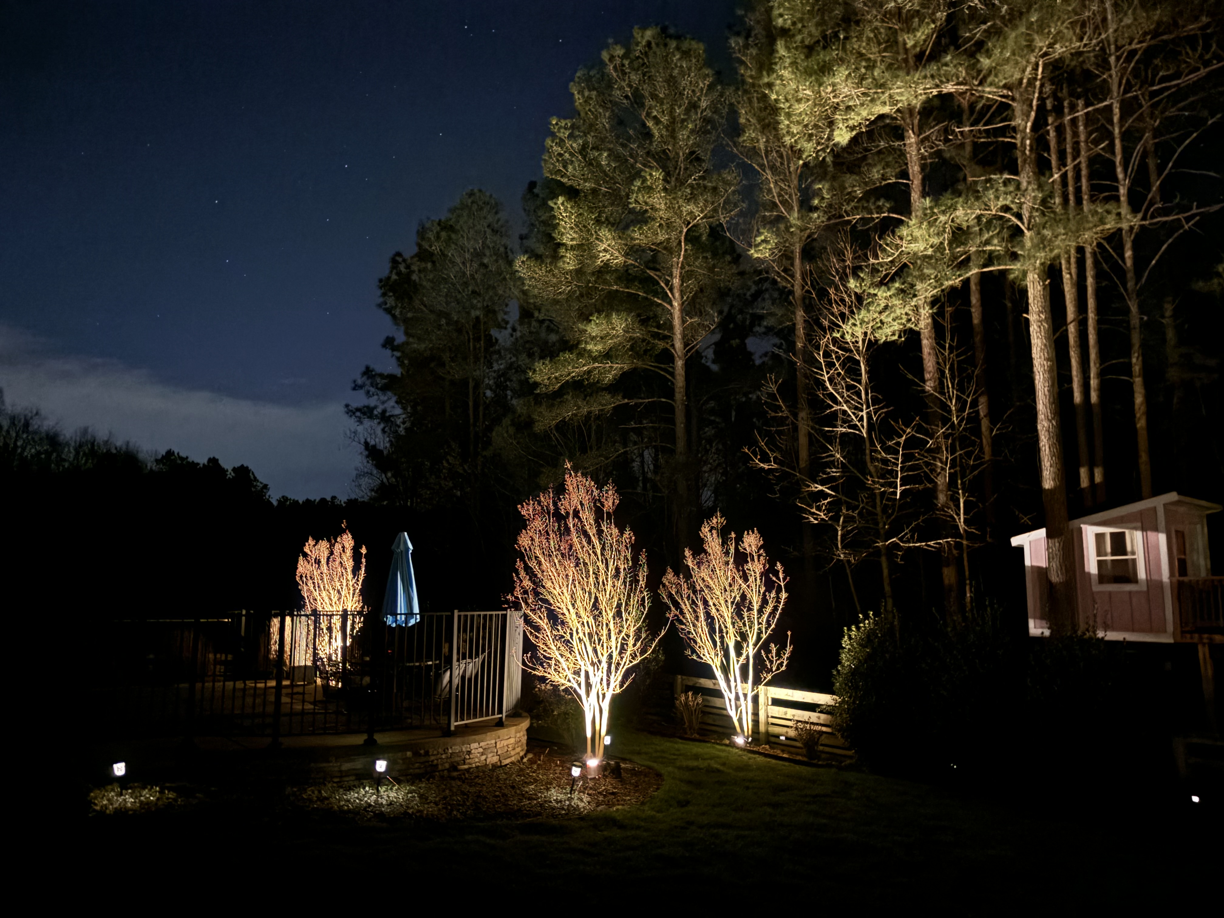 Creative backyard design with tree uplighting