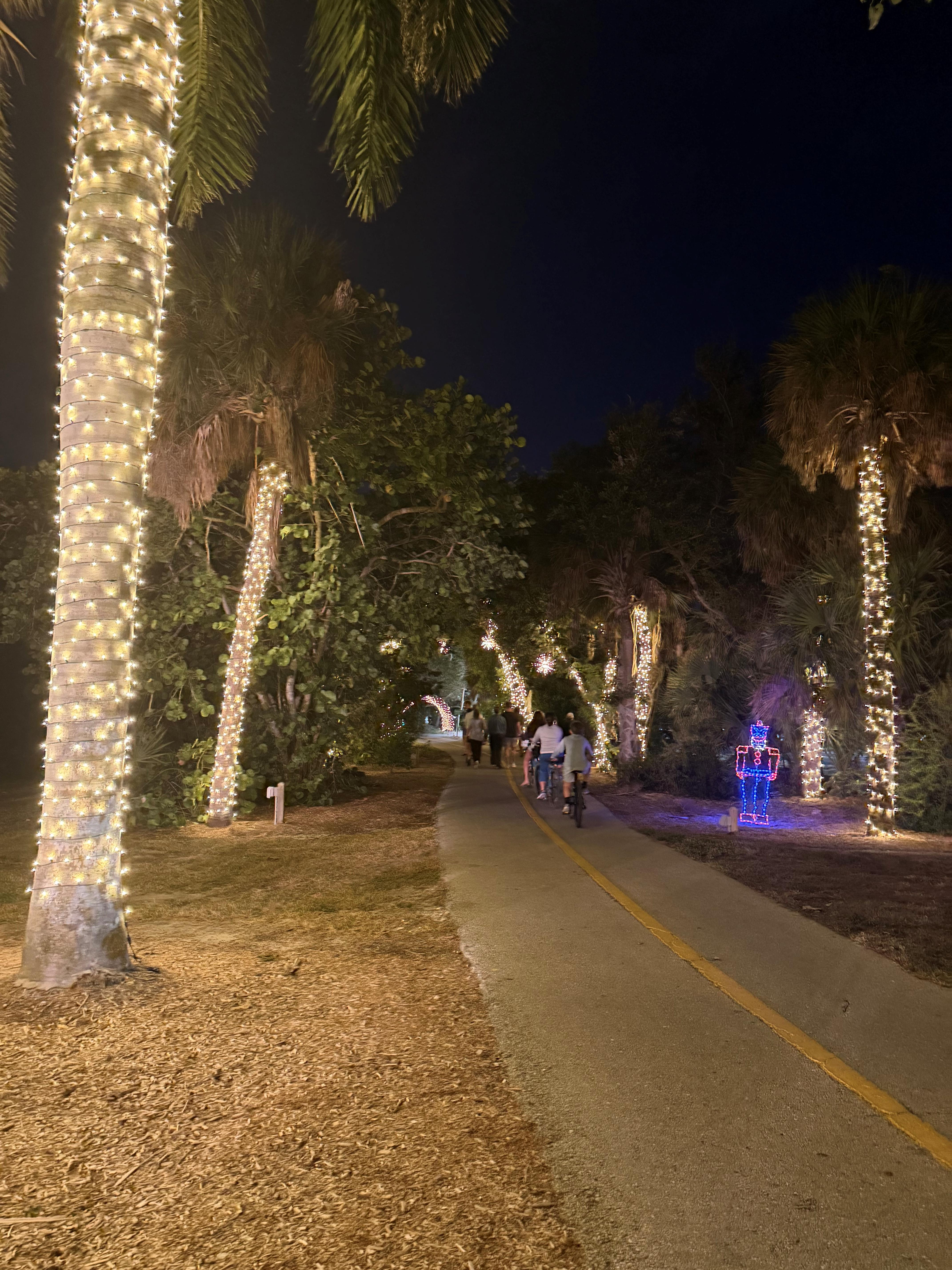 Holiday Lighting in Lee County