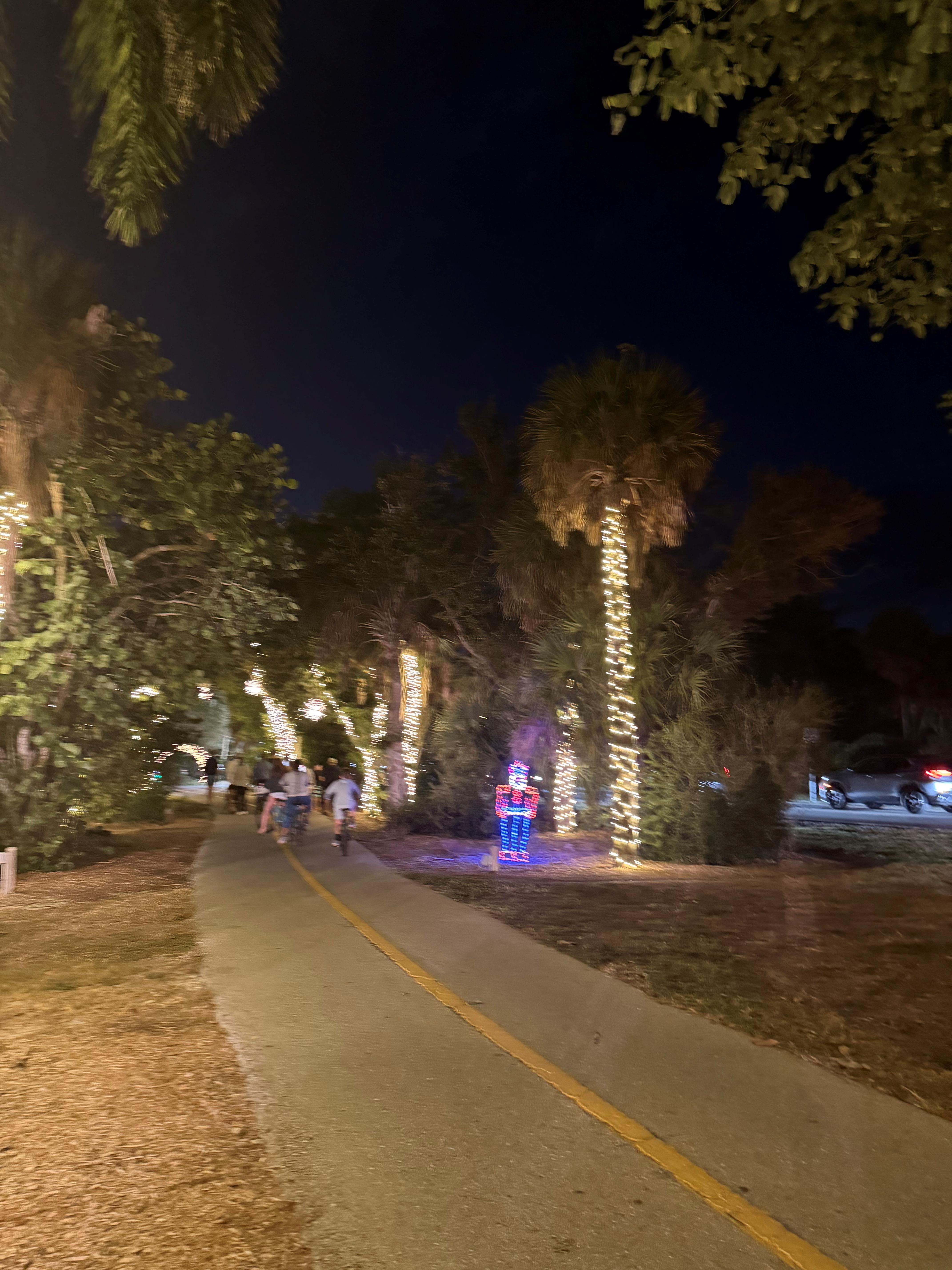 Christmas Lighting on Sanibel Island Florida