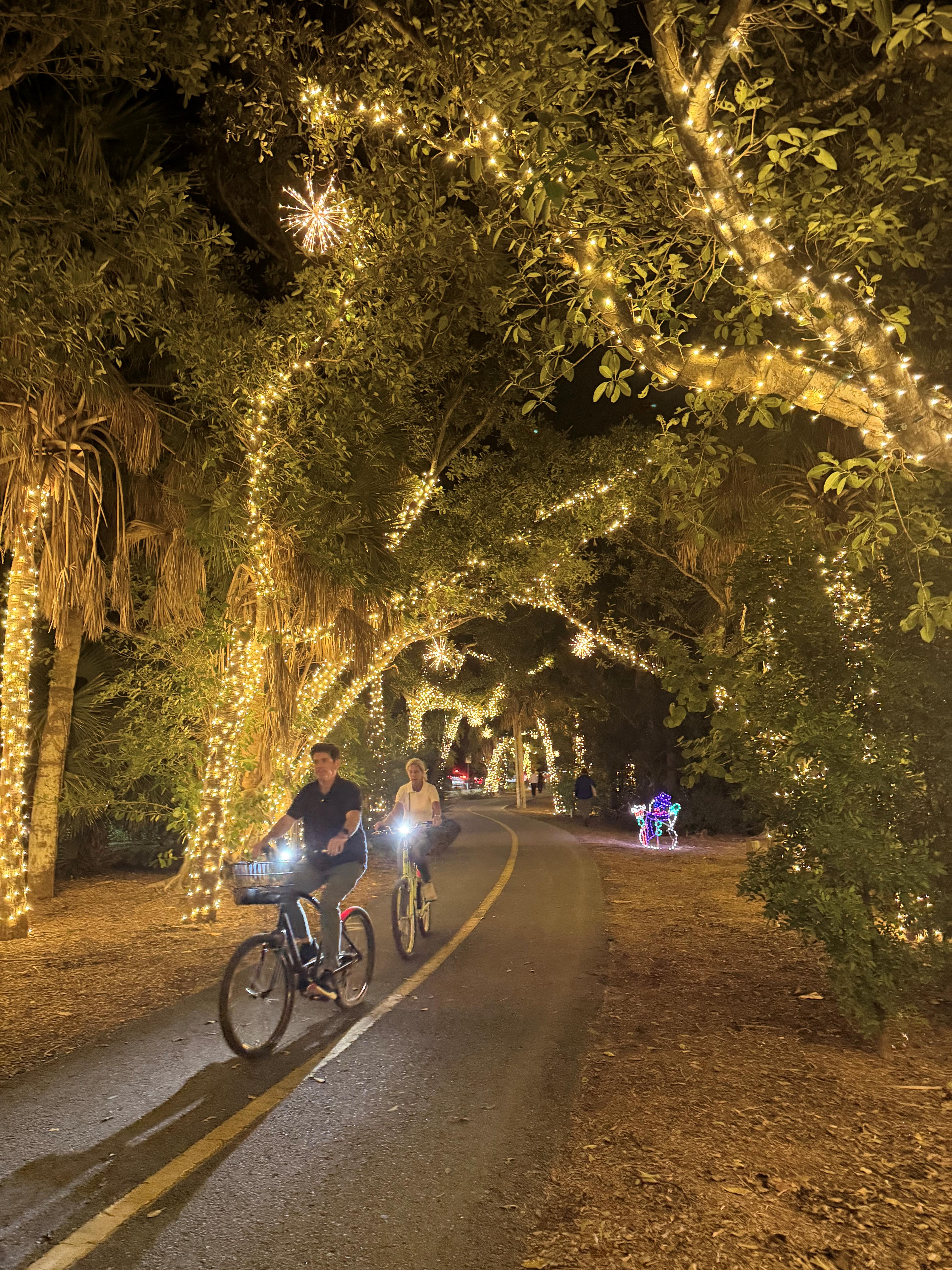 Cycle Path Through Holiday Magic Sanibel Walkway