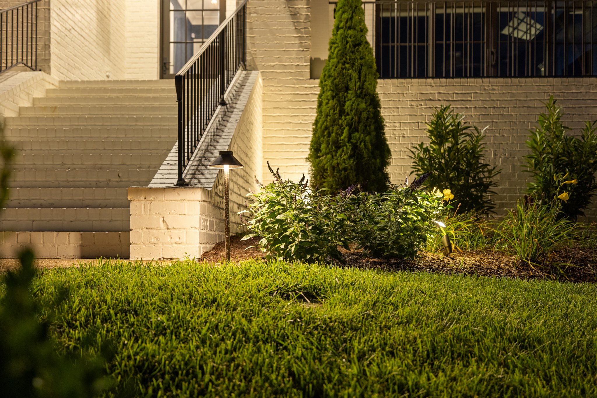 Passiflora Portfolio