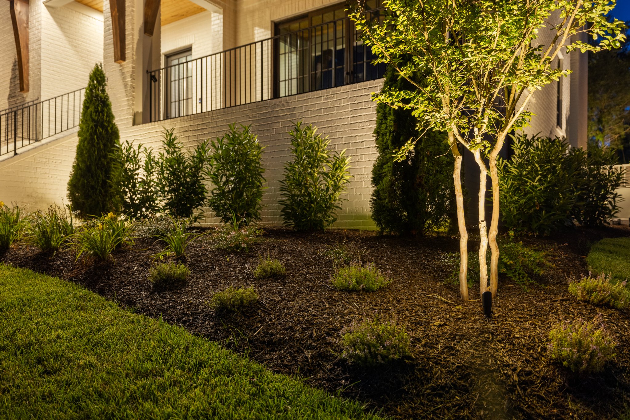 Passiflora Portfolio