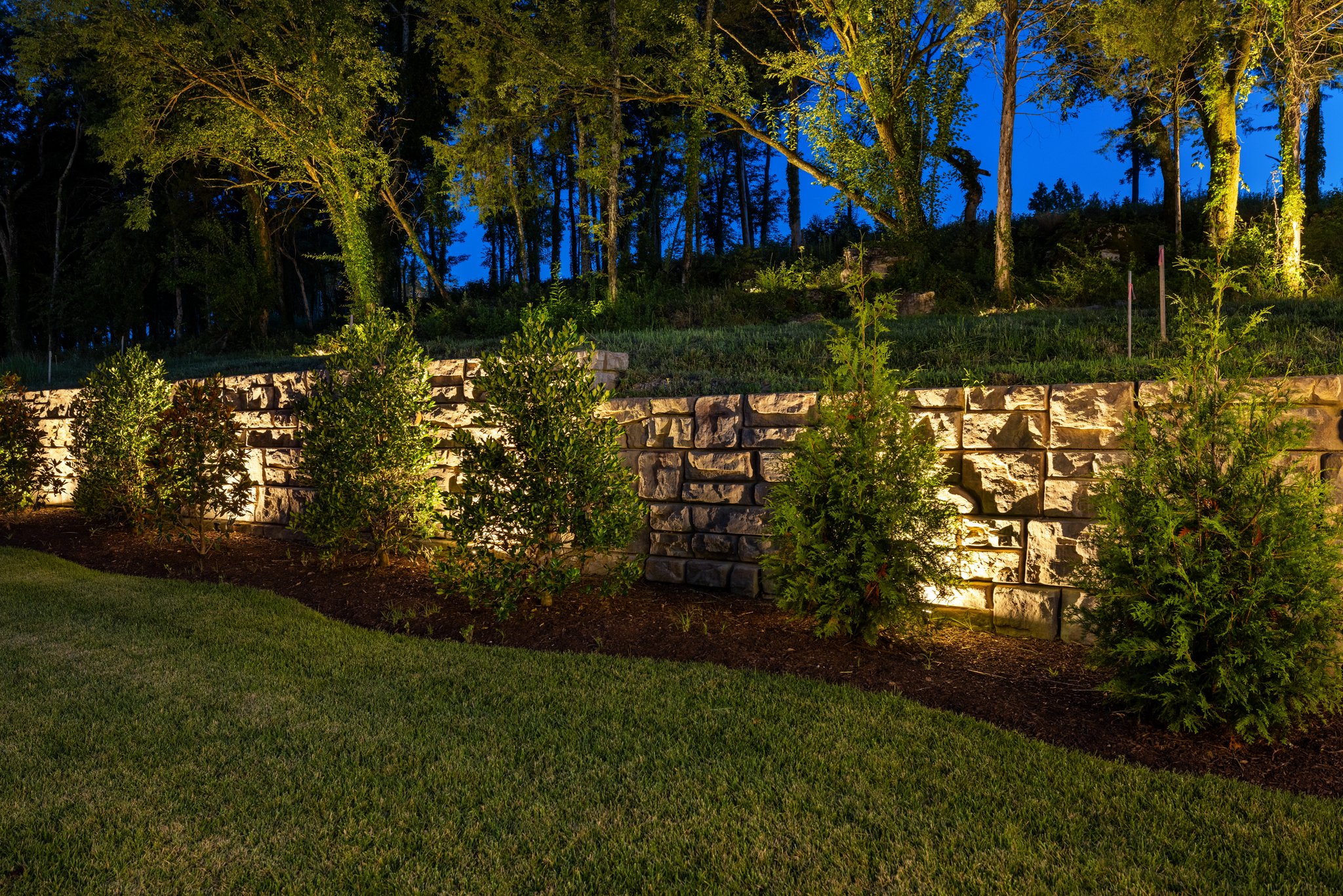 Passiflora Portfolio