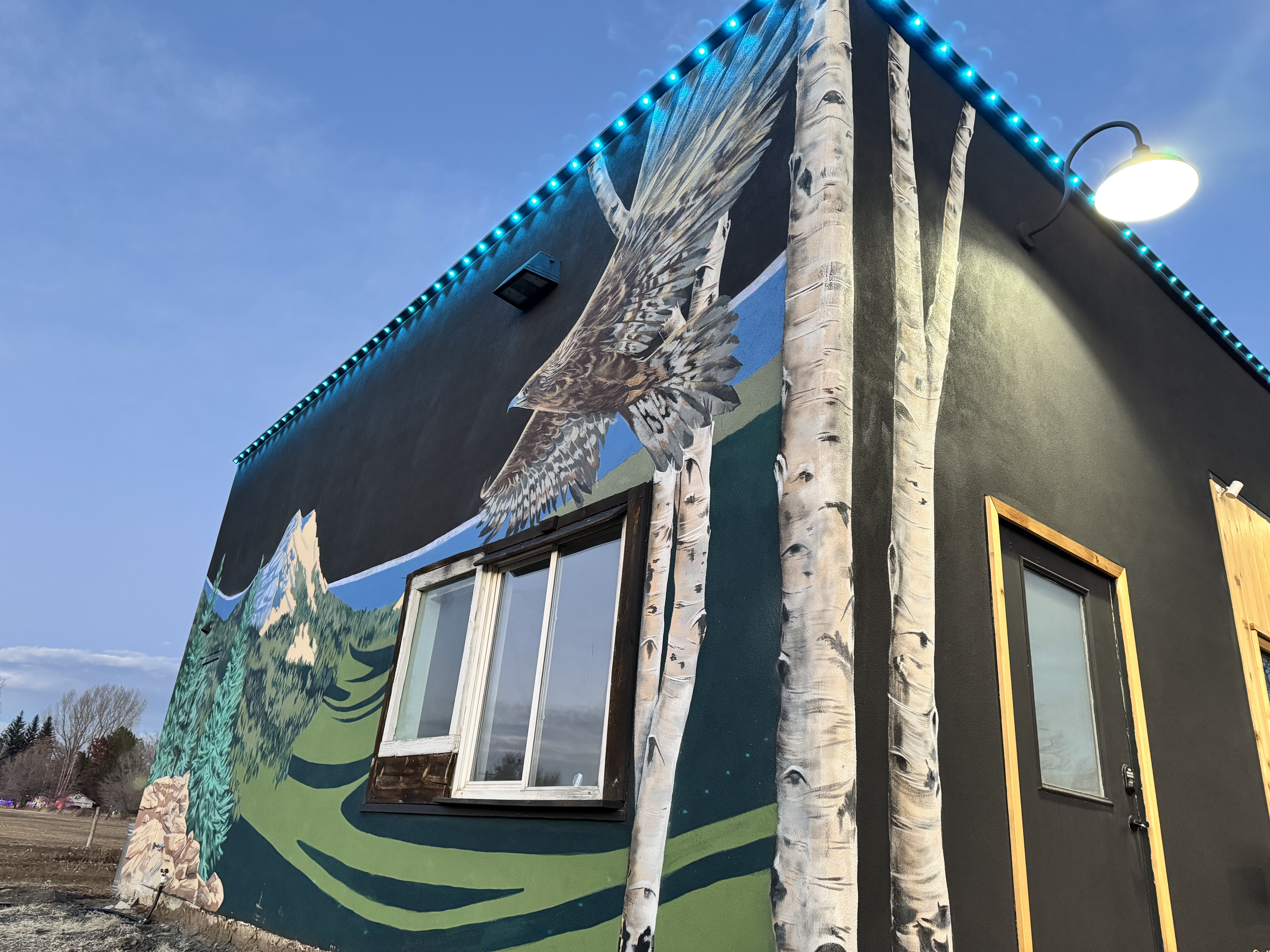 Gemstone Lights - Laporte