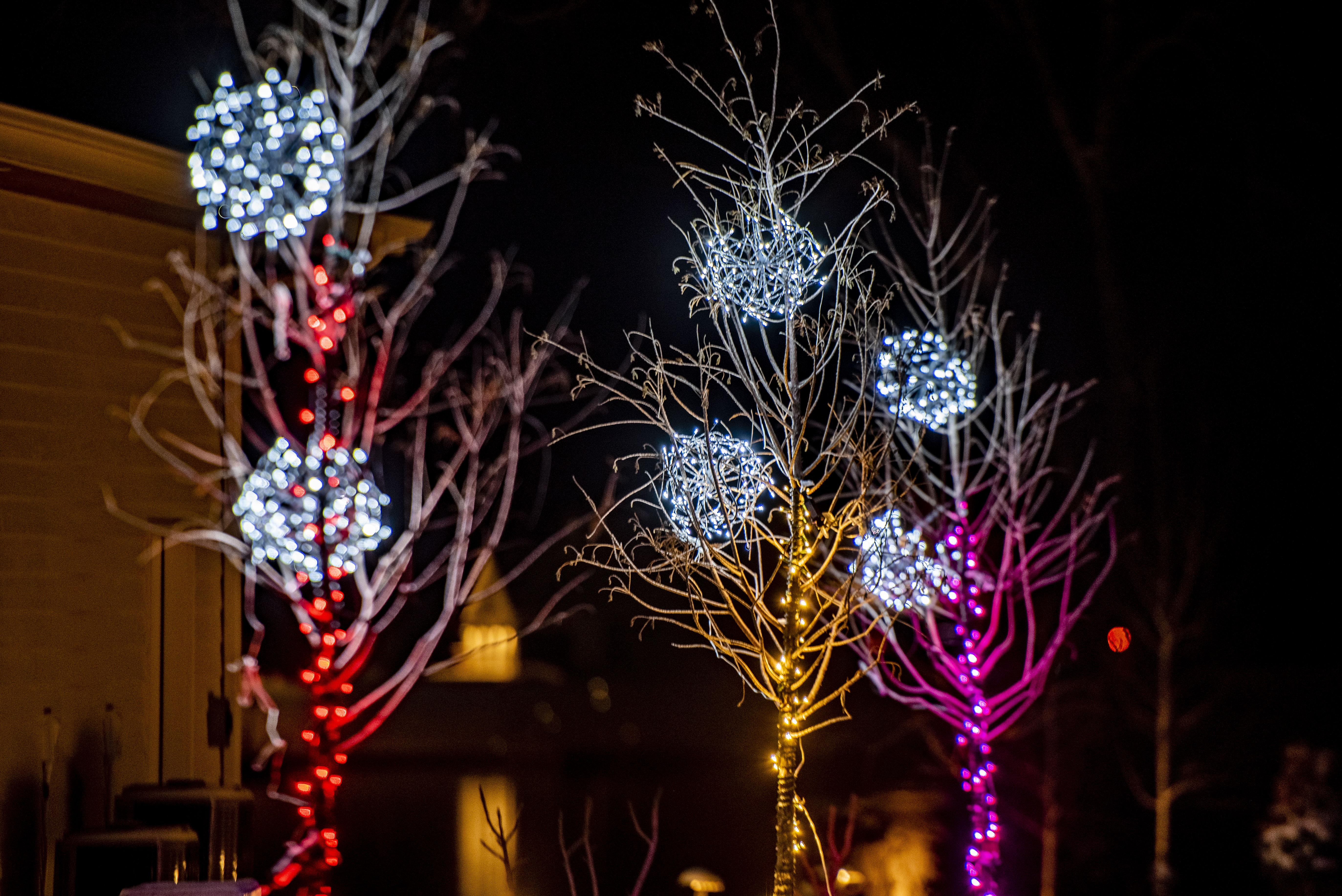 Holiday Lighting 4