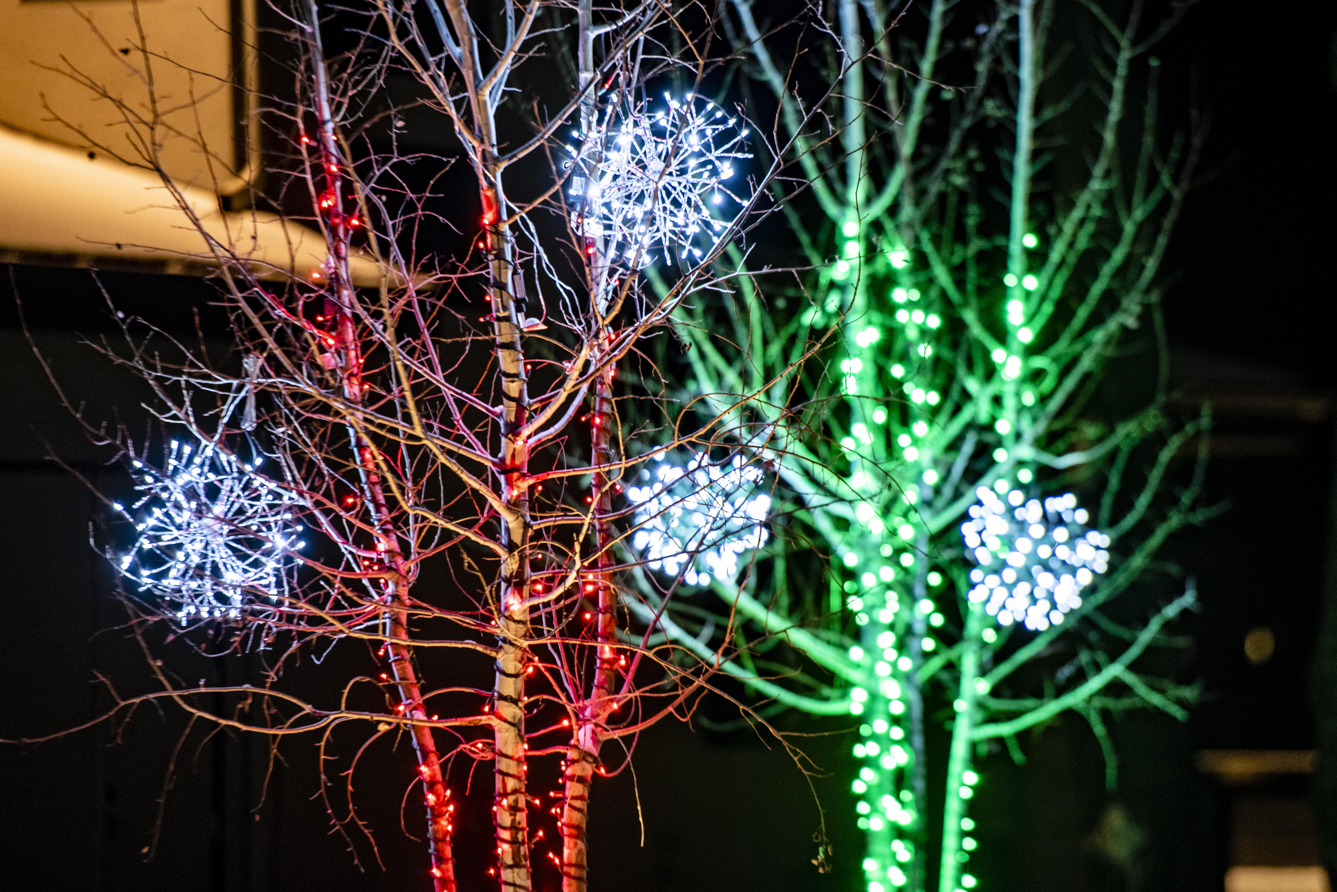 Holiday Lighting 5