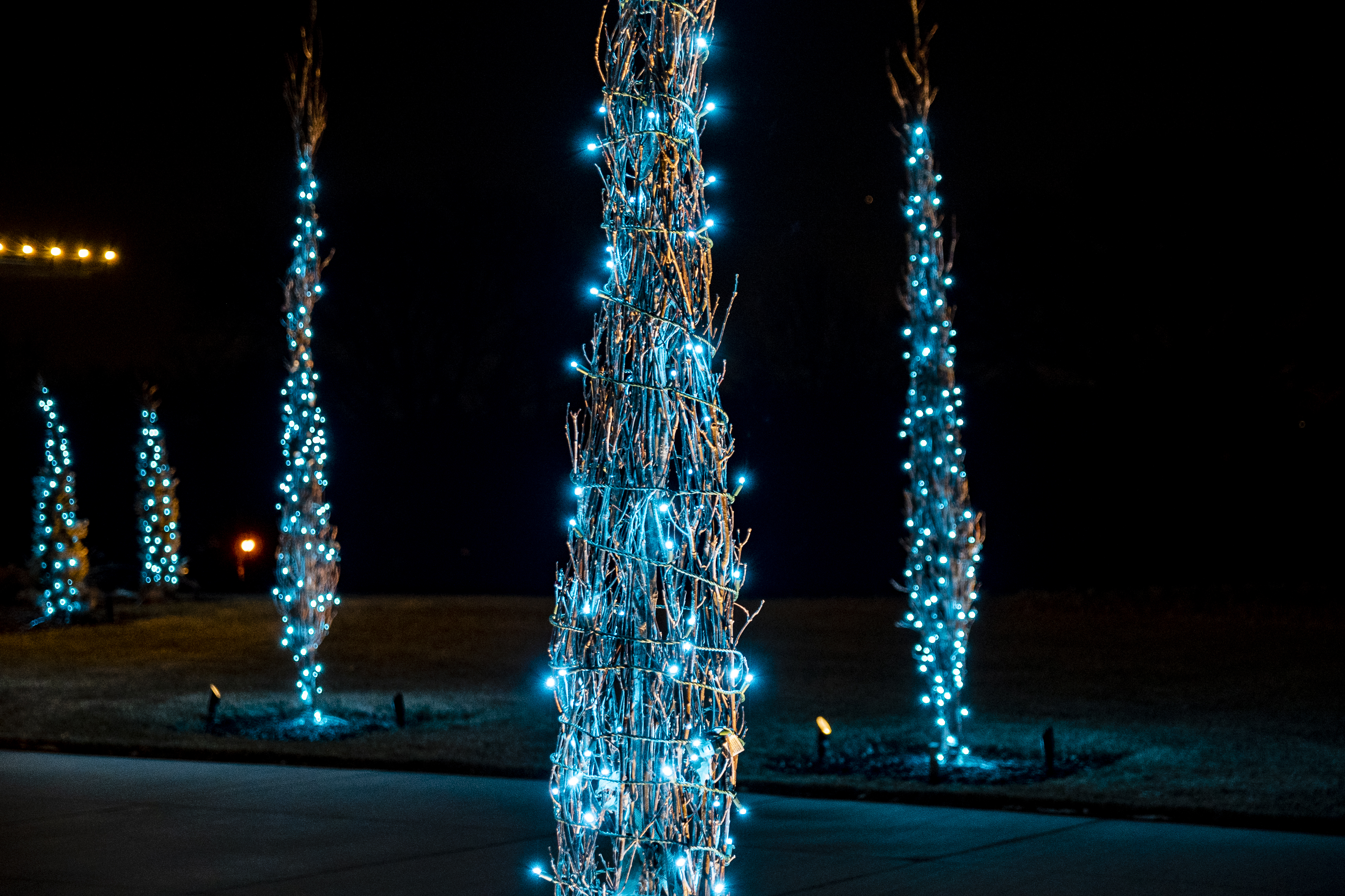 Holiday Lighting 6