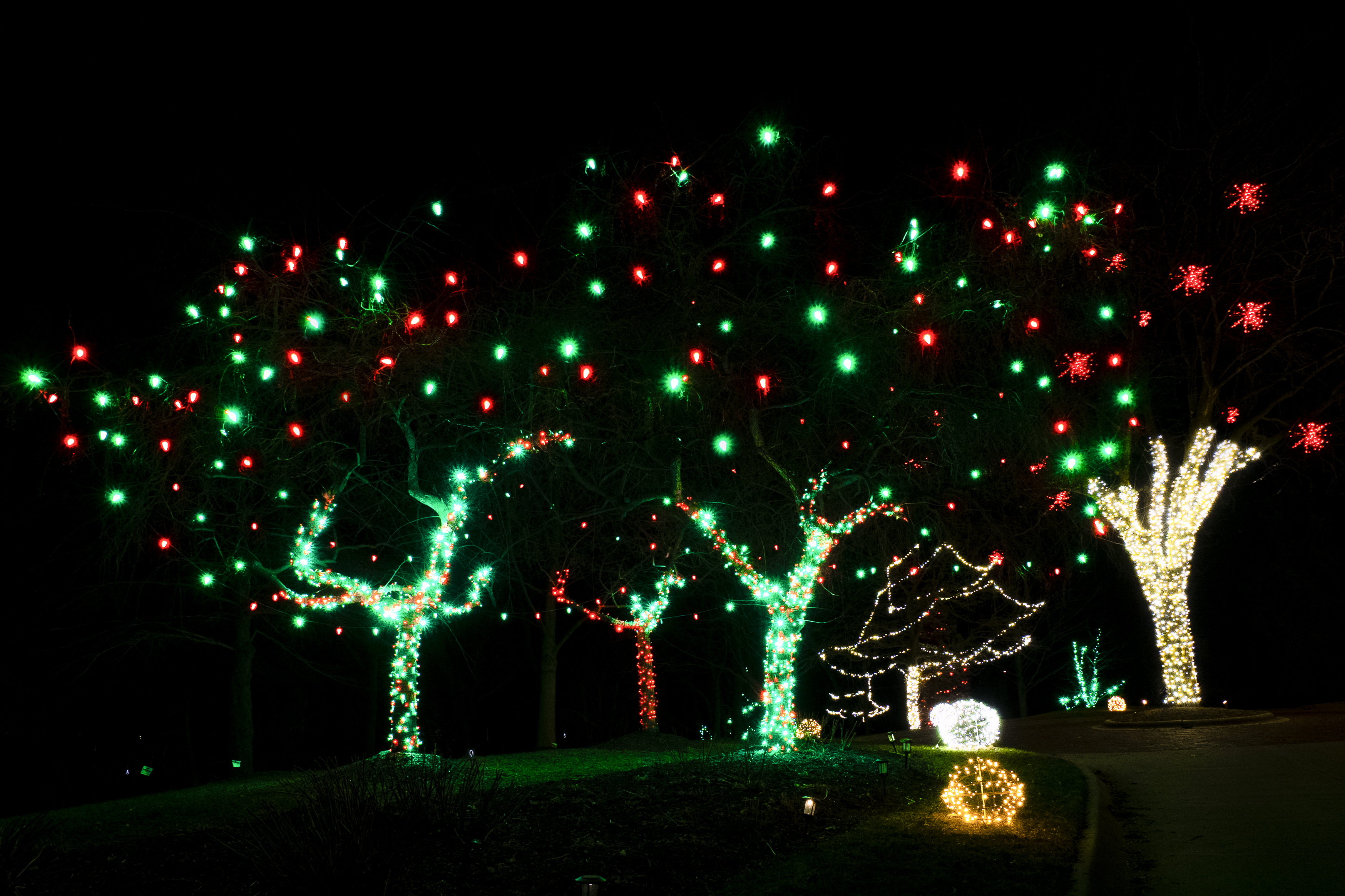 Holiday lights wrapping
