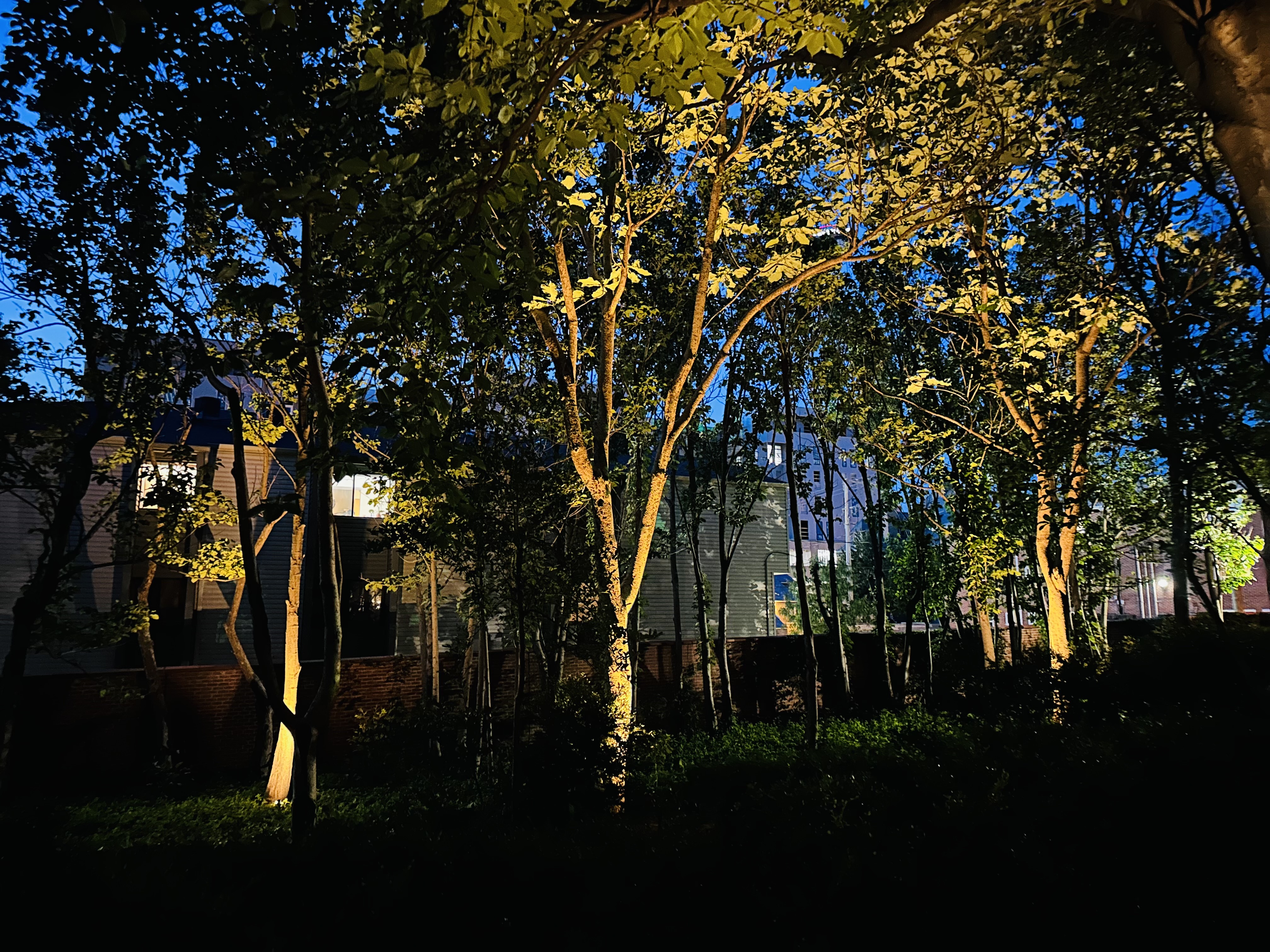 Residential Landscape Lighting 4