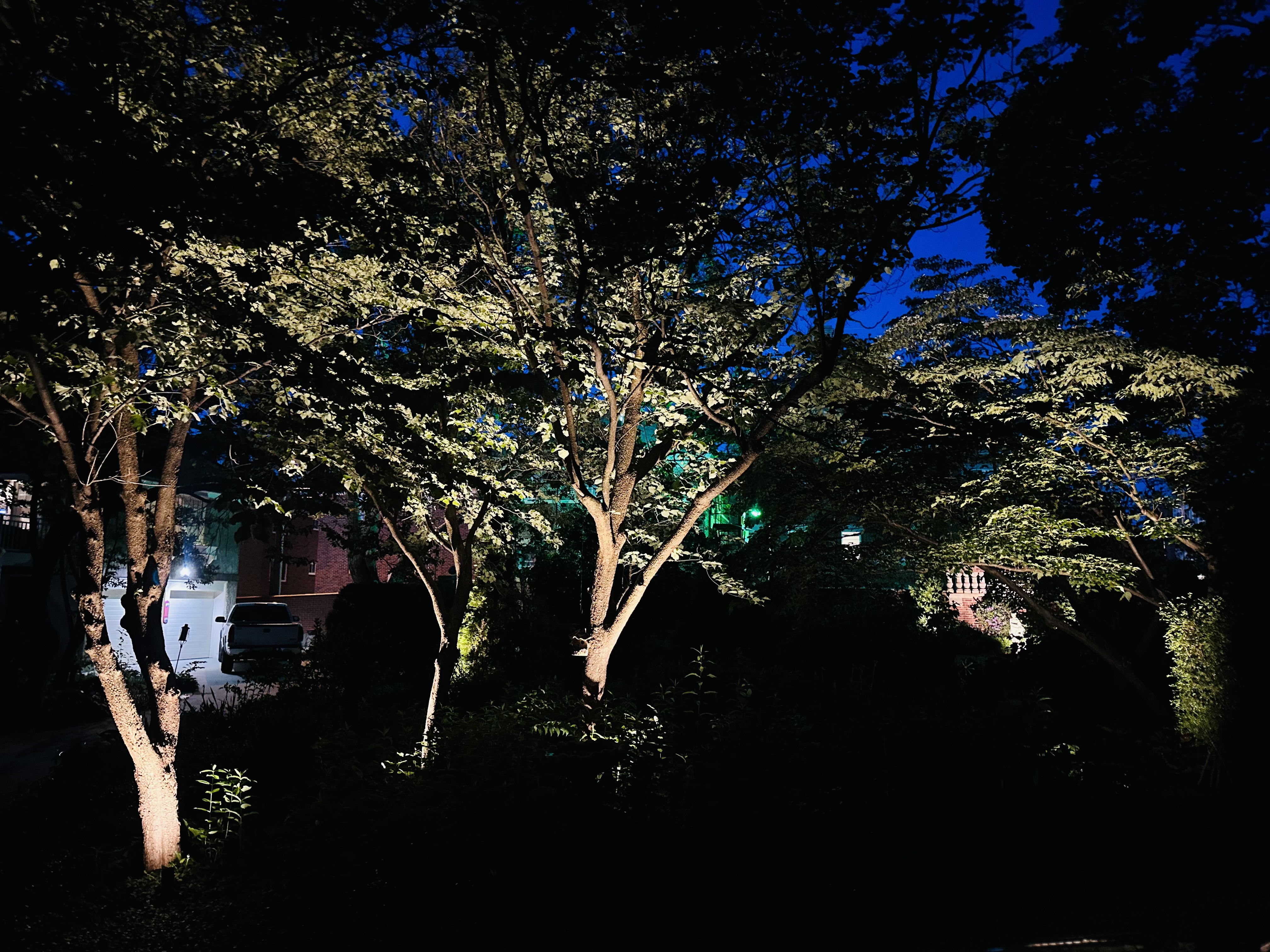 Residential Landscape Lighting 5