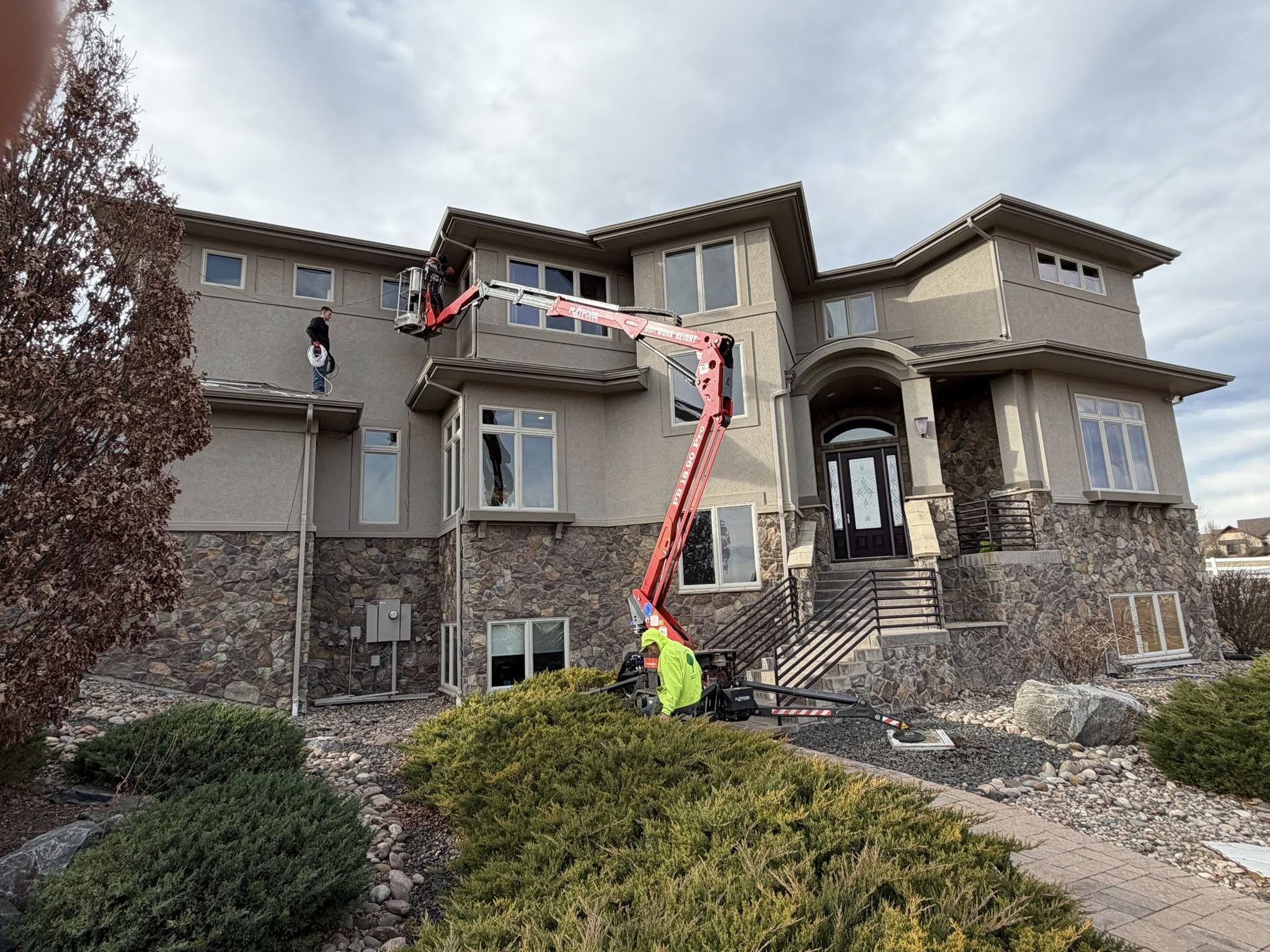 Blingle and Our Family Tree Service