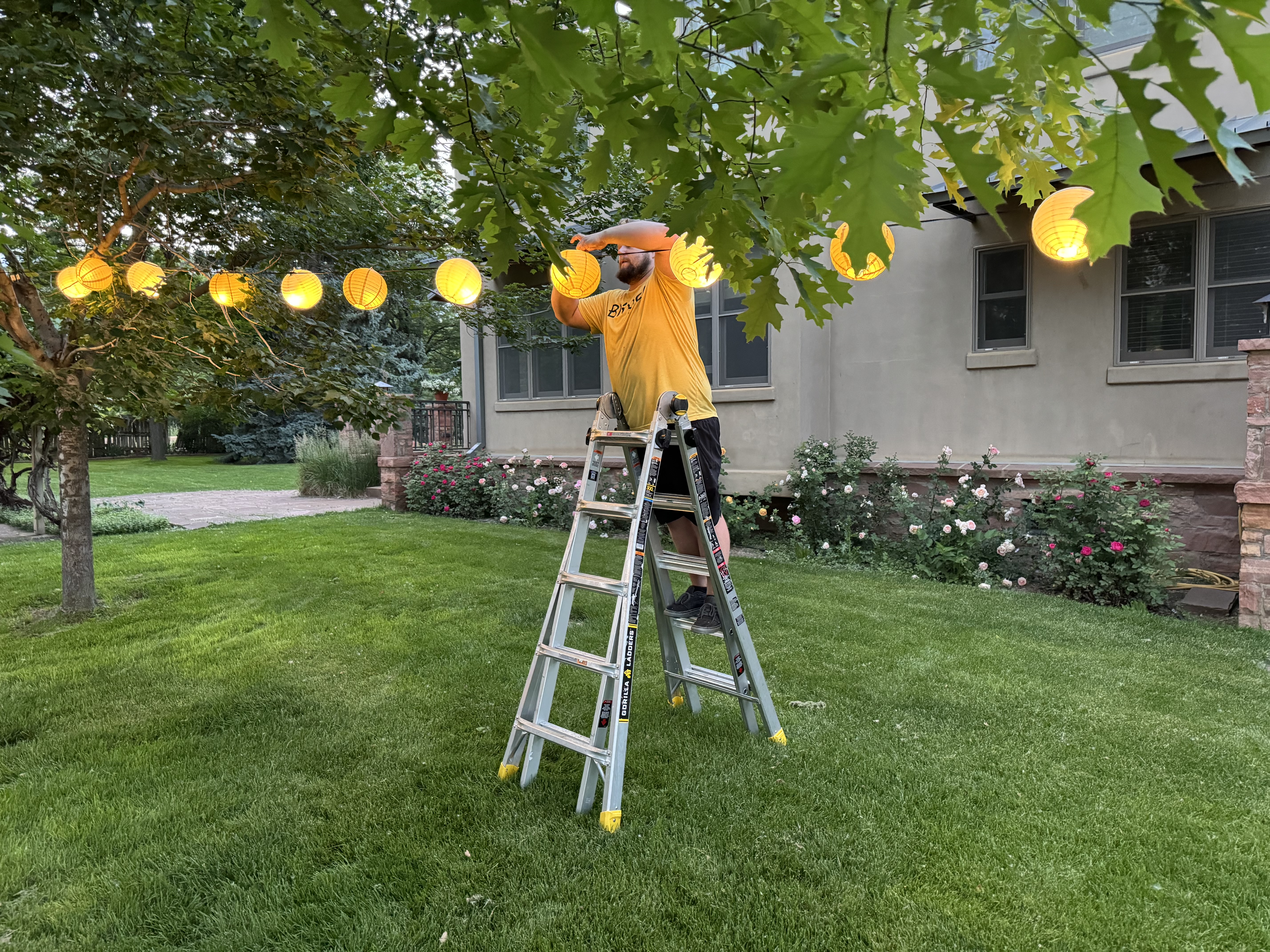 Mitchell Boothe Putting Final Touches on Paper Lantern Bistro Light Wedding Setup