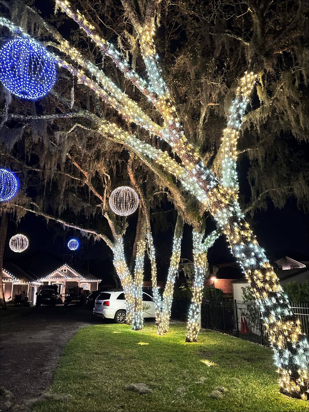 festive tree lighting