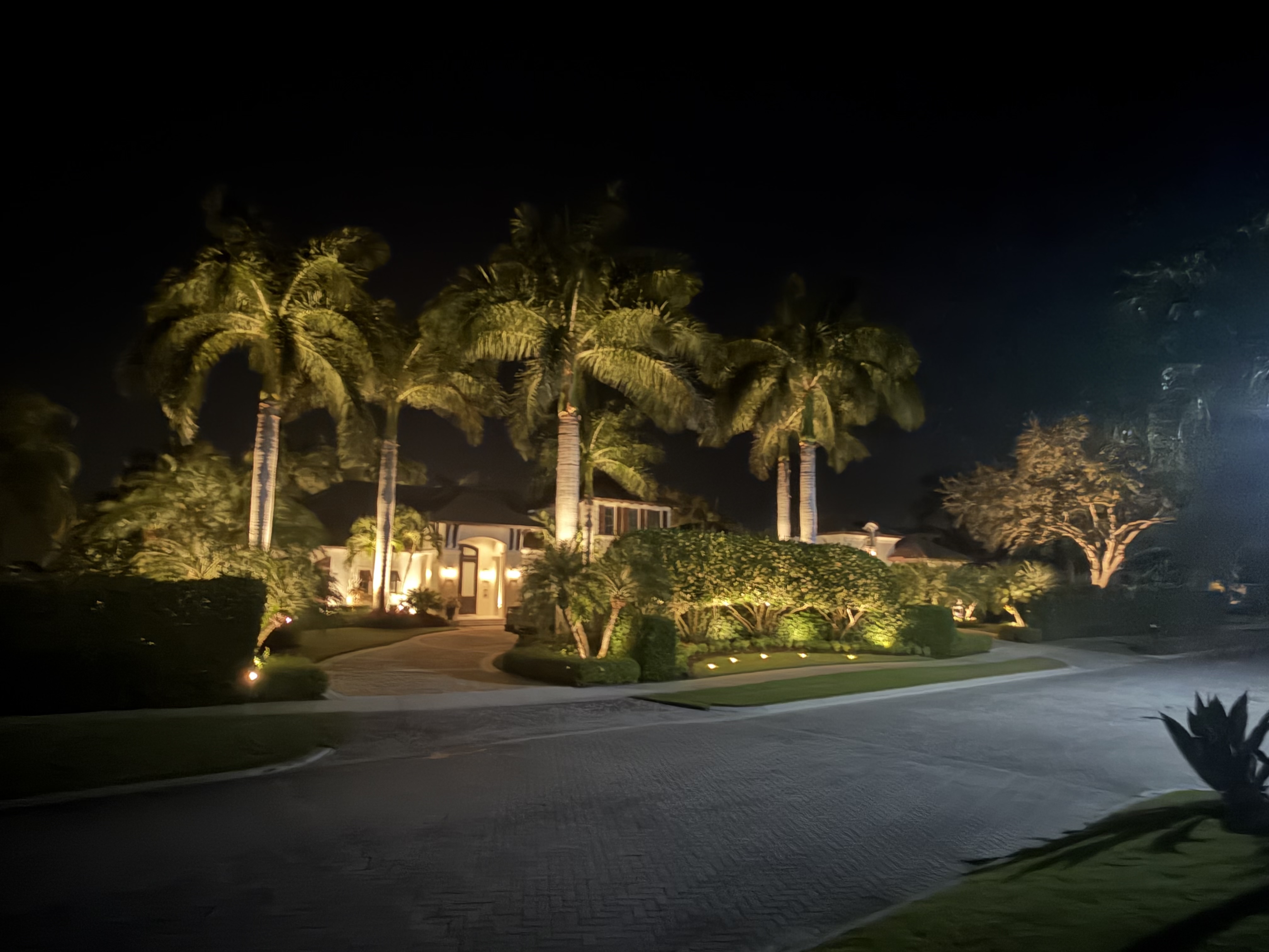 Professional landscape lighting installation enhancing the curb appeal and nighttime security of a residential home in