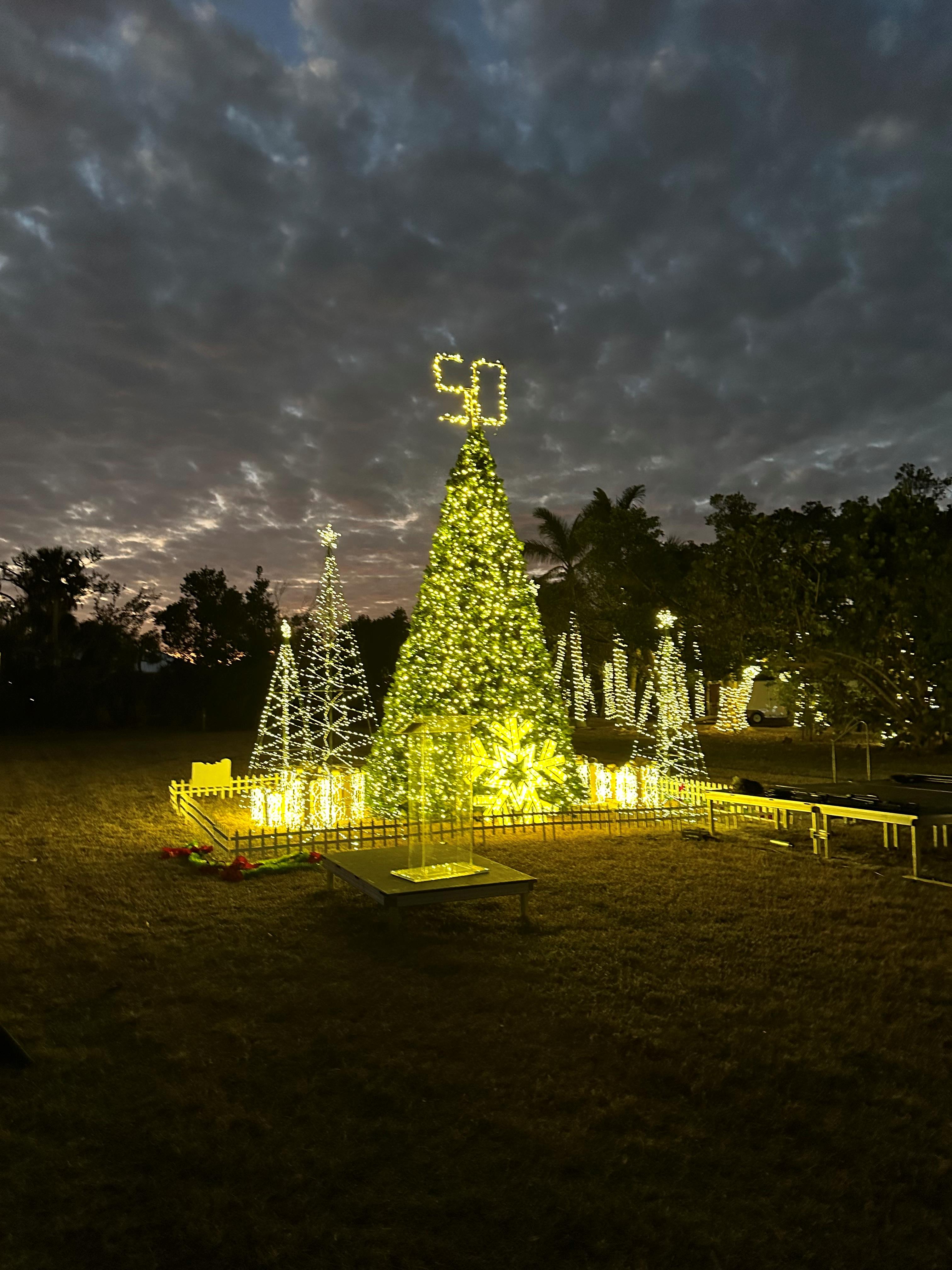 Sanibel Island Tree and Walkway Lighting