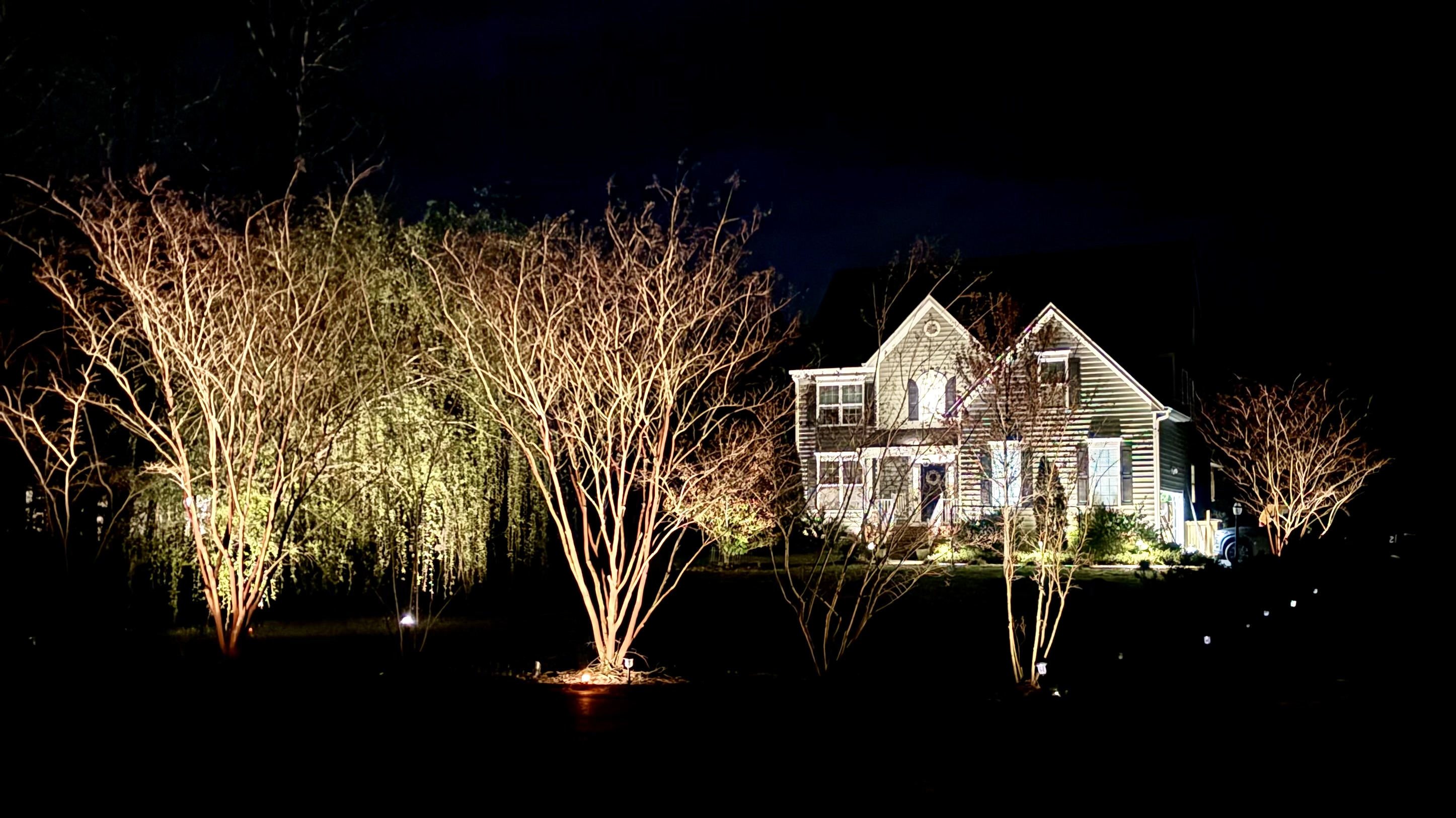 Front yard landscape